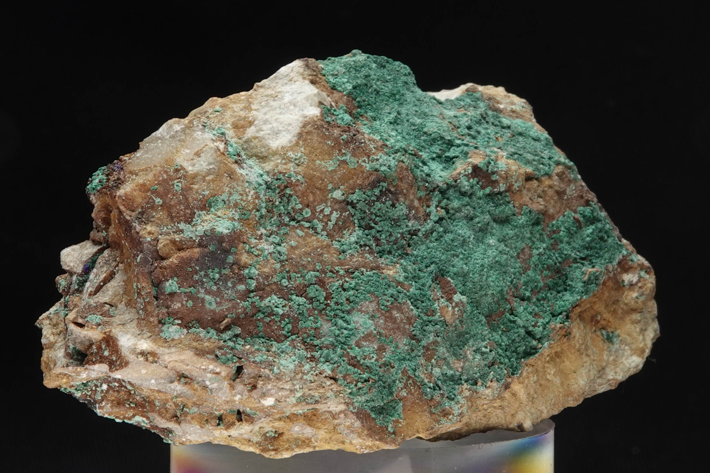Malachite sur gangue ferrugineuse - Mine de Montevecchio, Sardaigne, Italie - 716.5 ct