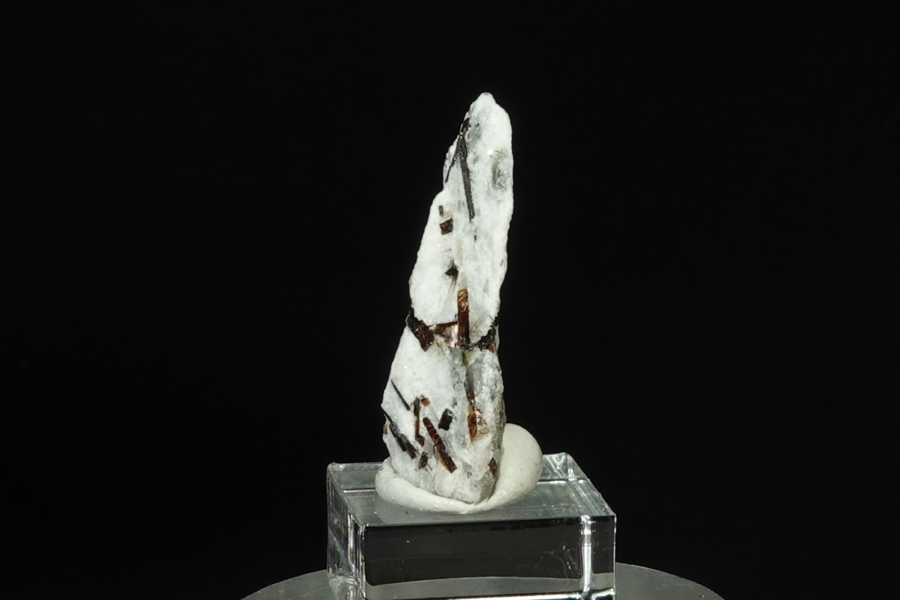  Astrophyllite sur Albite - Péninsule de Kola, Russie - 21.5 ct