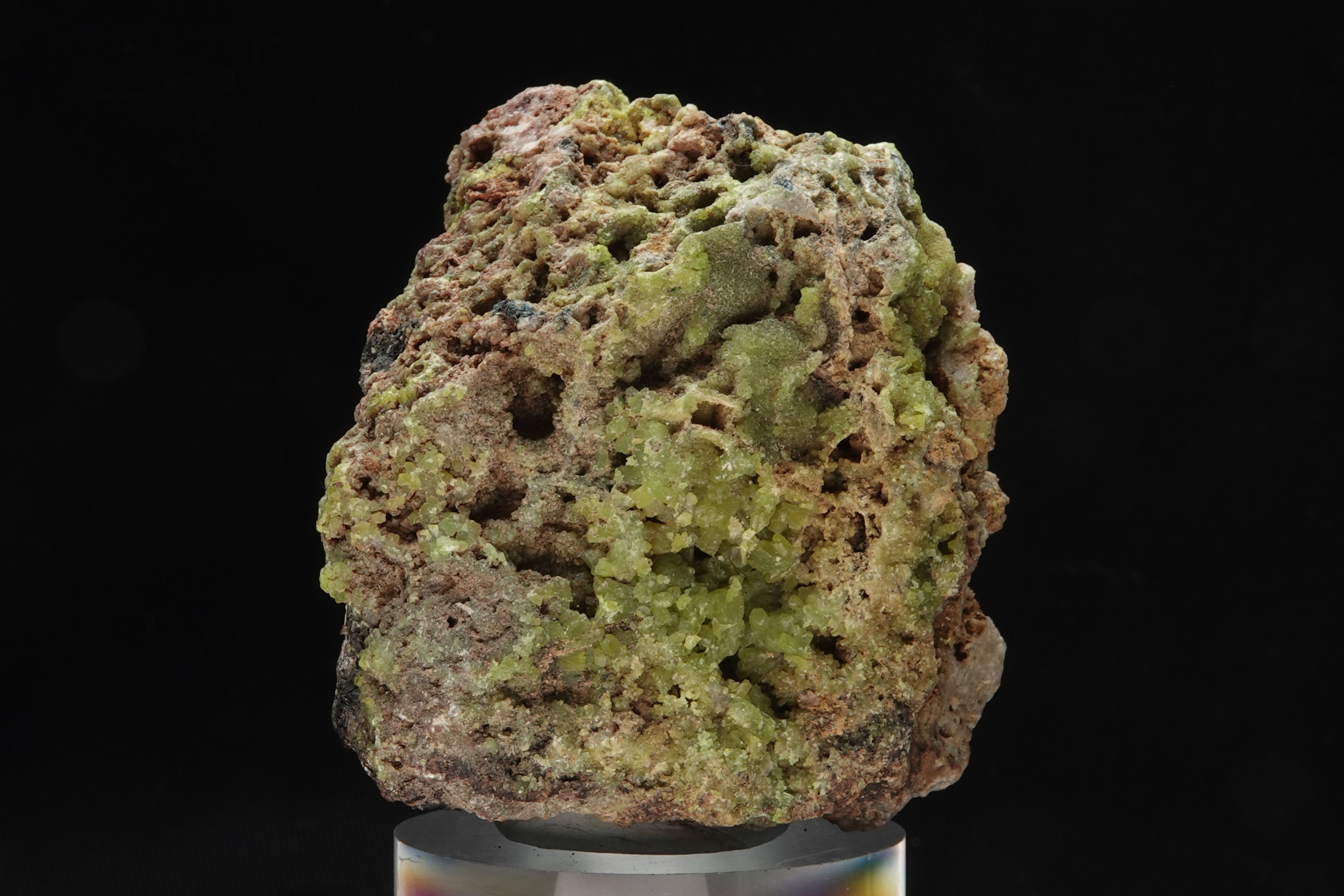 Pyromorphite sur gangue ferrugineuse - Mine de Montevecchio, Sardaigne, Italie - 995 ct