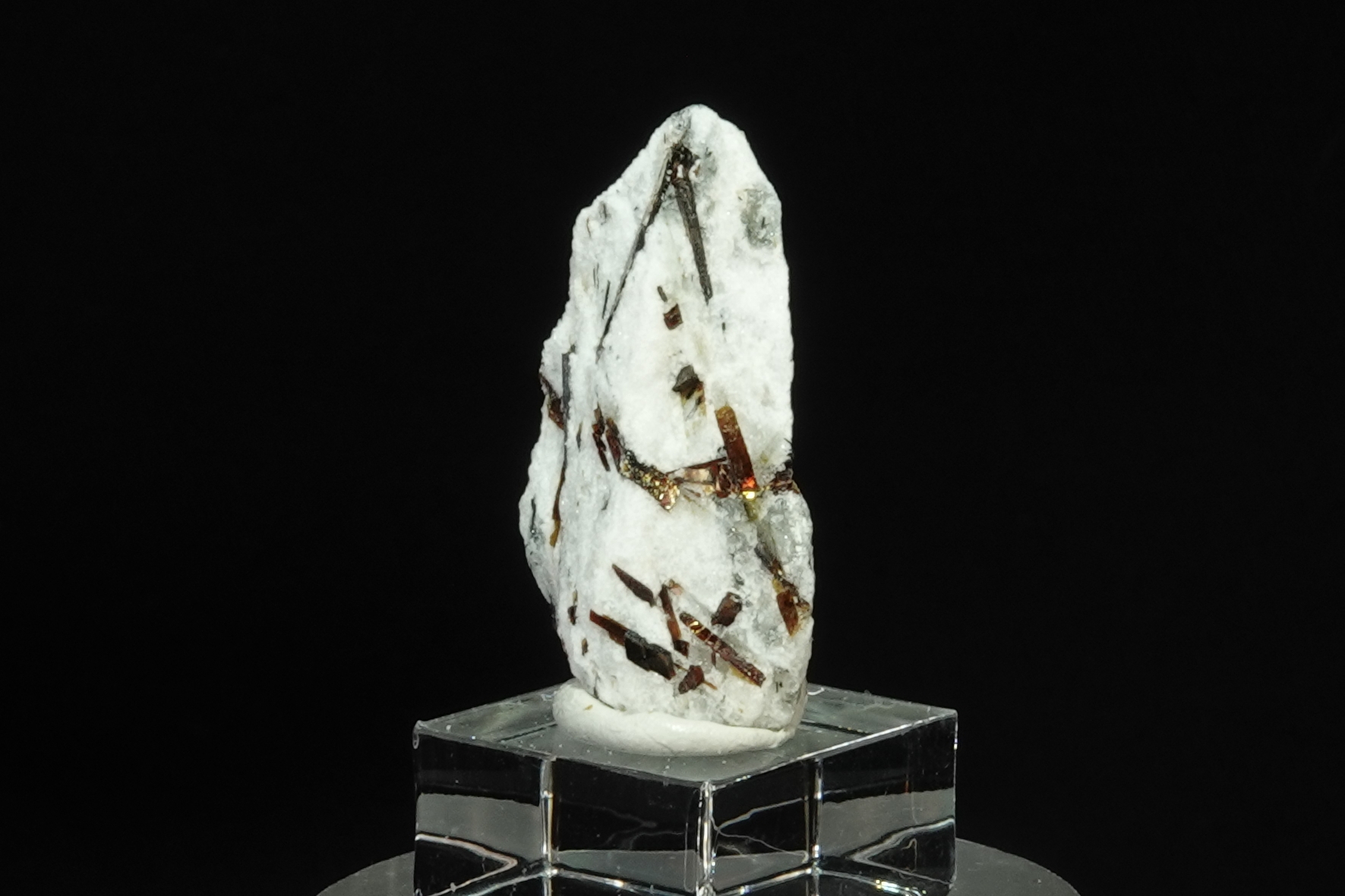  Astrophyllite sur Albite - Péninsule de Kola, Russie - 21.5 ct