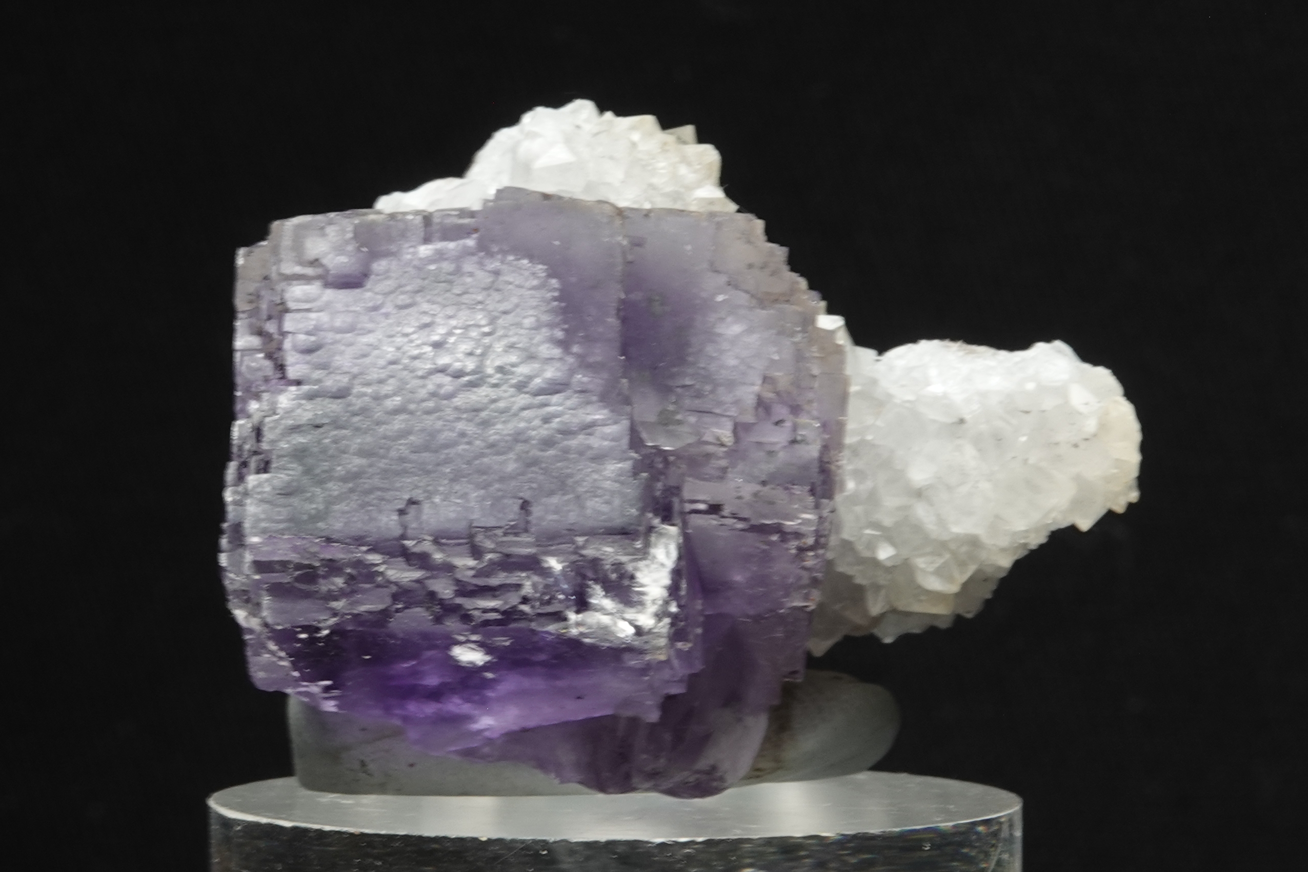 Fluorite violette sur Quartz - Berbès, Ribadesella, Asturies, Espagne