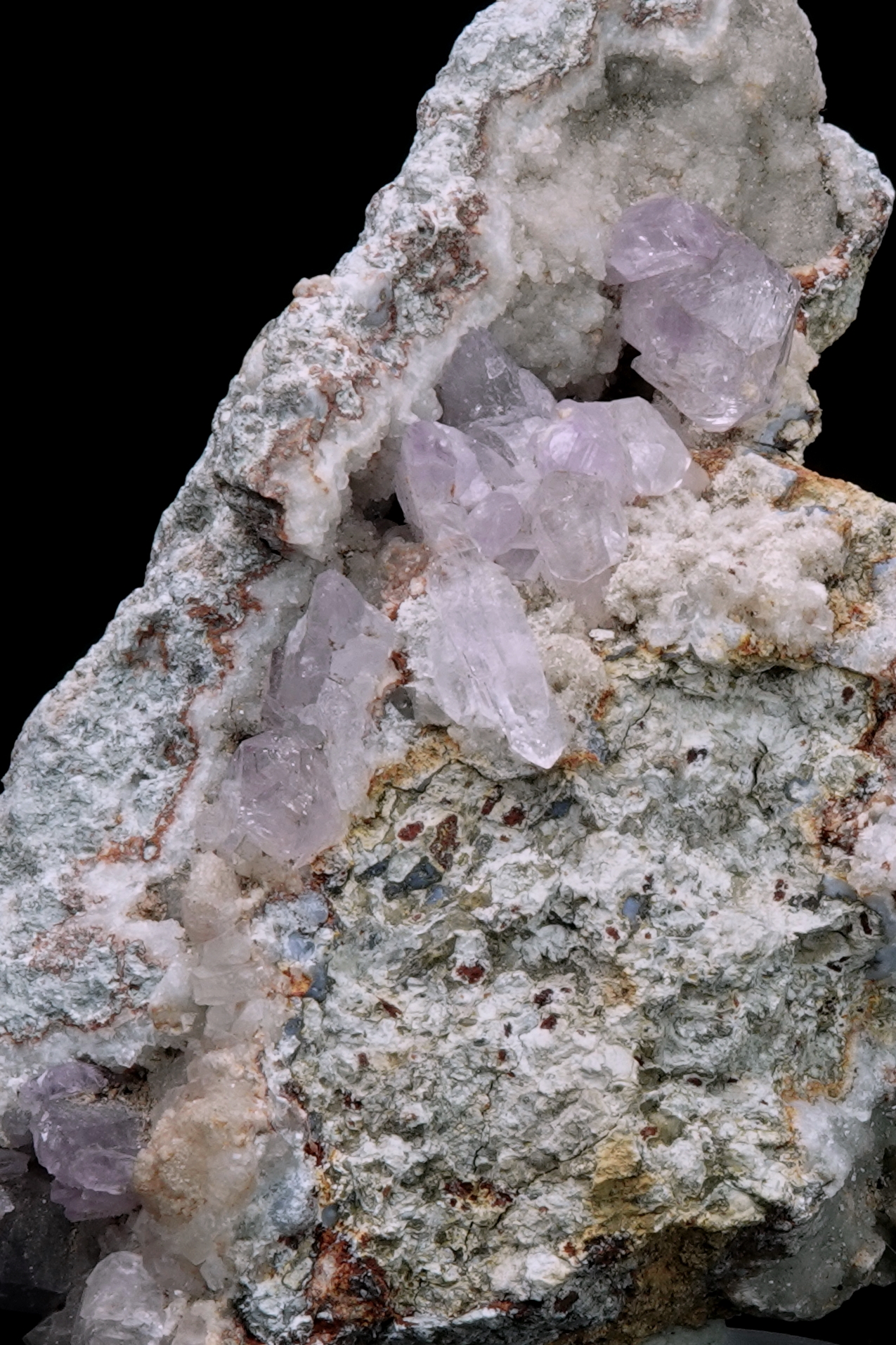 Améthyste sur gangue - Osilo, Sassari, Sardaigne, Italie - 1150 ct