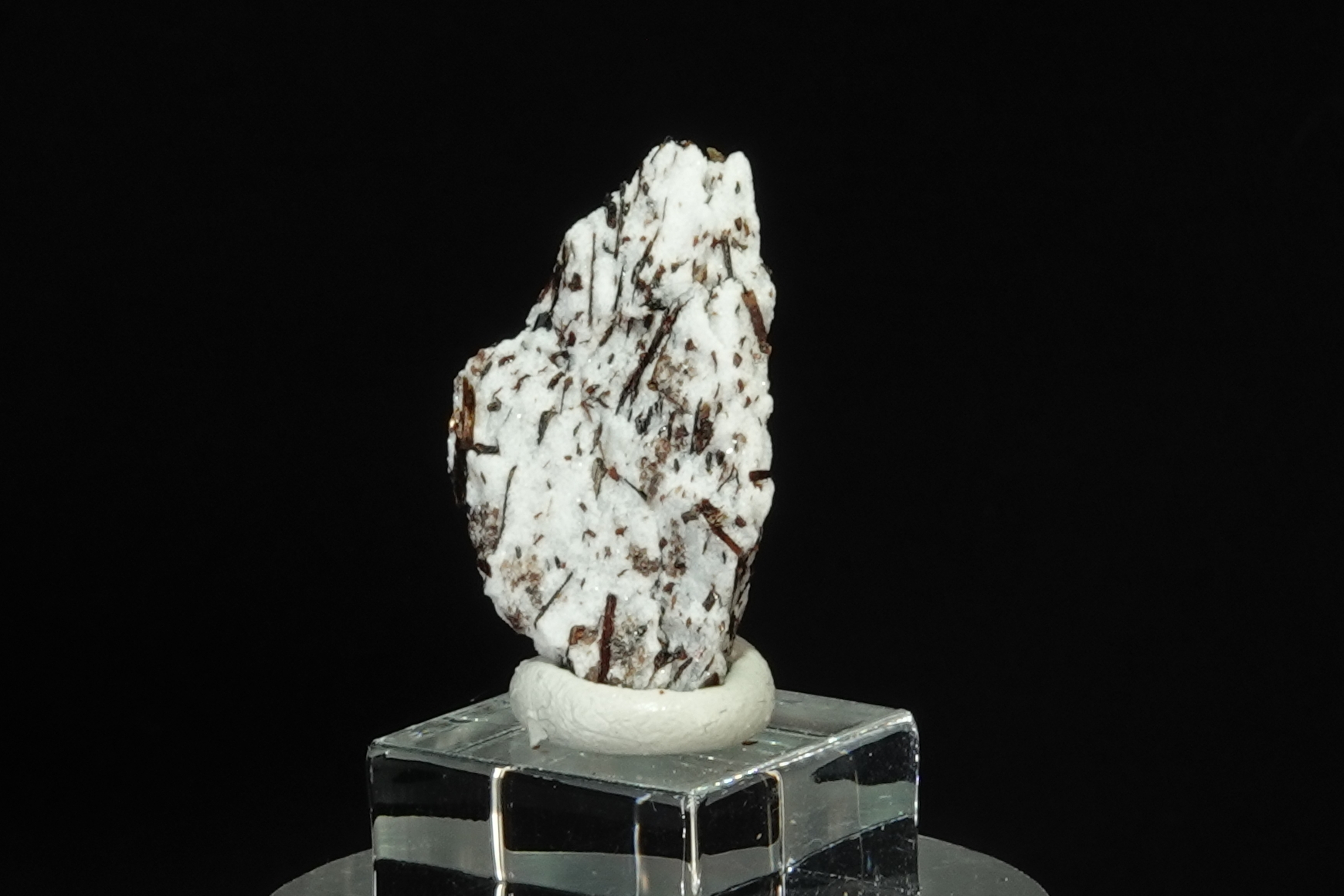 Astrophyllite sur Albite - Péninsule de Kola, Russie - 21 ct
