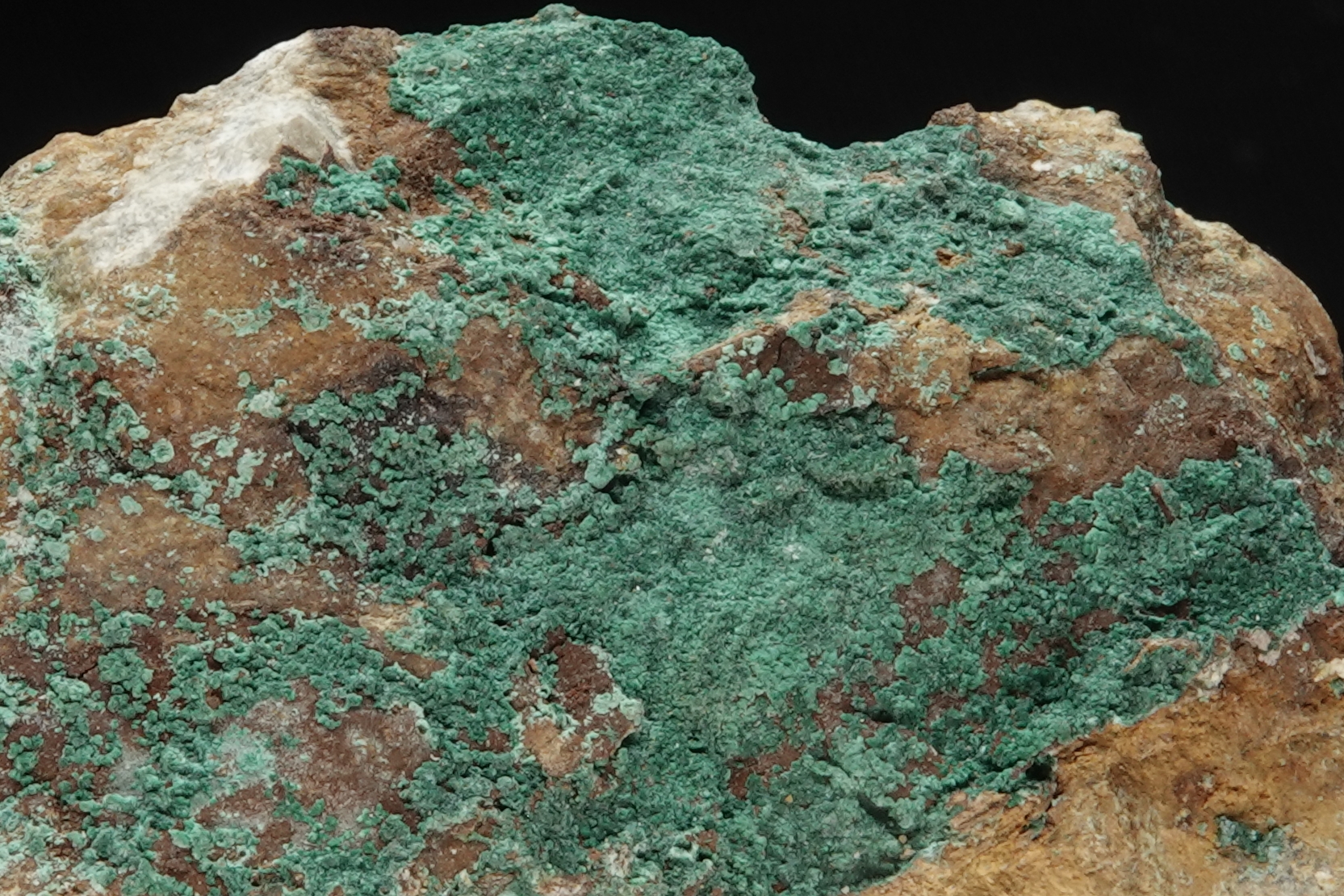 Malachite sur gangue ferrugineuse - Mine de Montevecchio, Sardaigne, Italie - 716.5 ct
