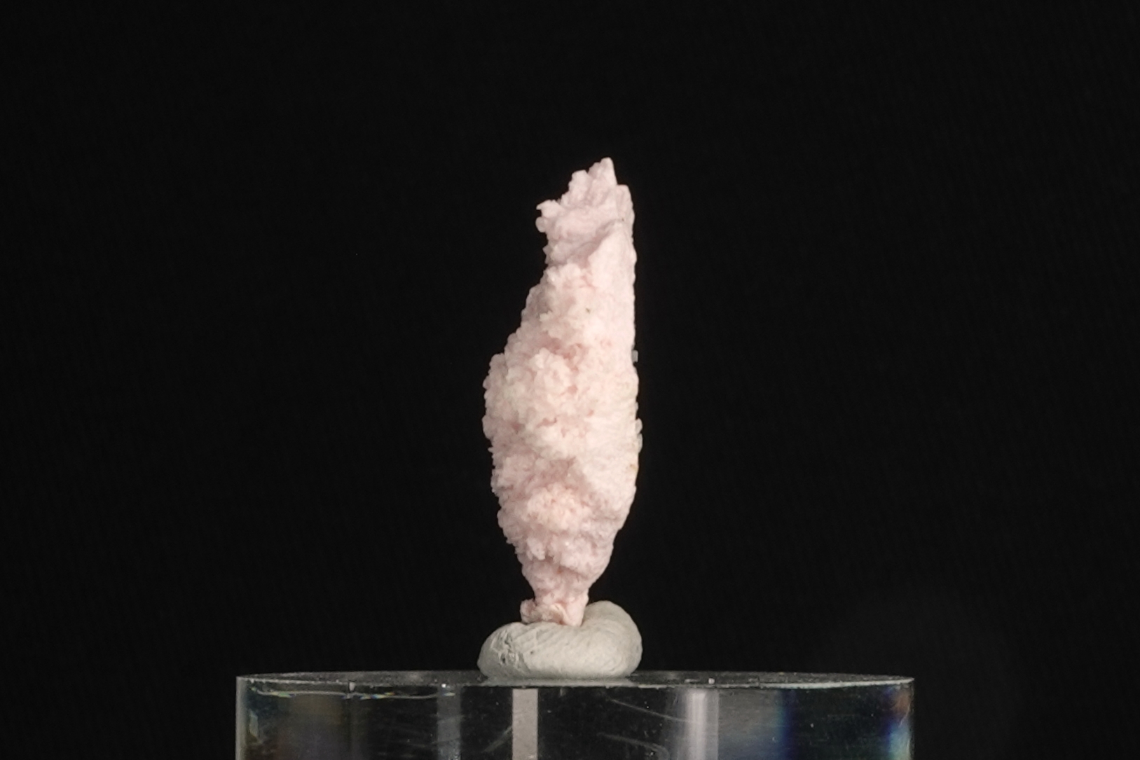 Rhodochrosite - Mine de Davidkovo (fermée), Bulgarie - 31 ct
