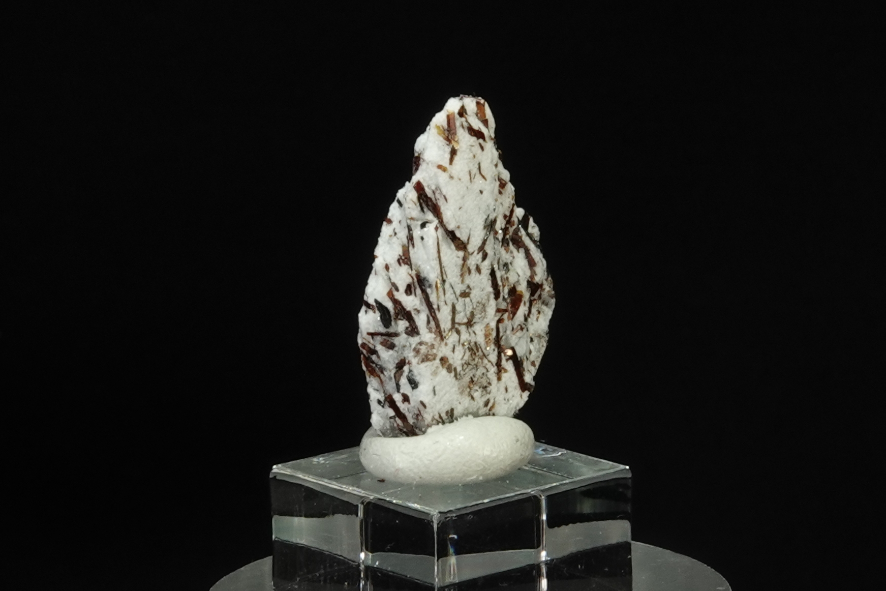 Astrophyllite sur Albite - Péninsule de Kola, Russie - 21 ct