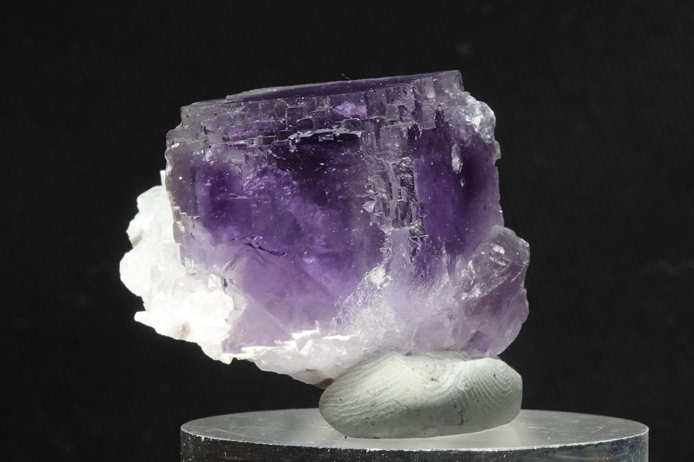 Fluorite violette sur Quartz - Berbès, Ribadesella, Asturies, Espagne