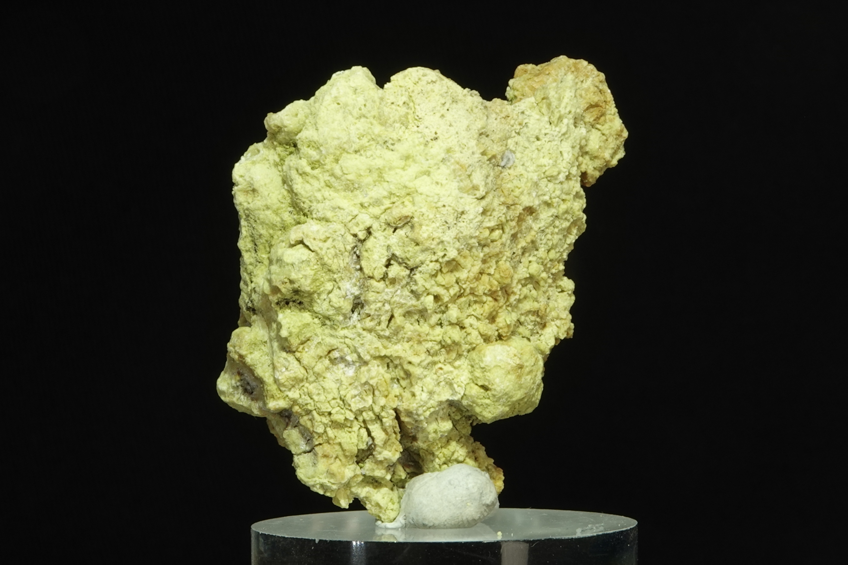 Nontronite - Waldviertel, Autriche - 219,5