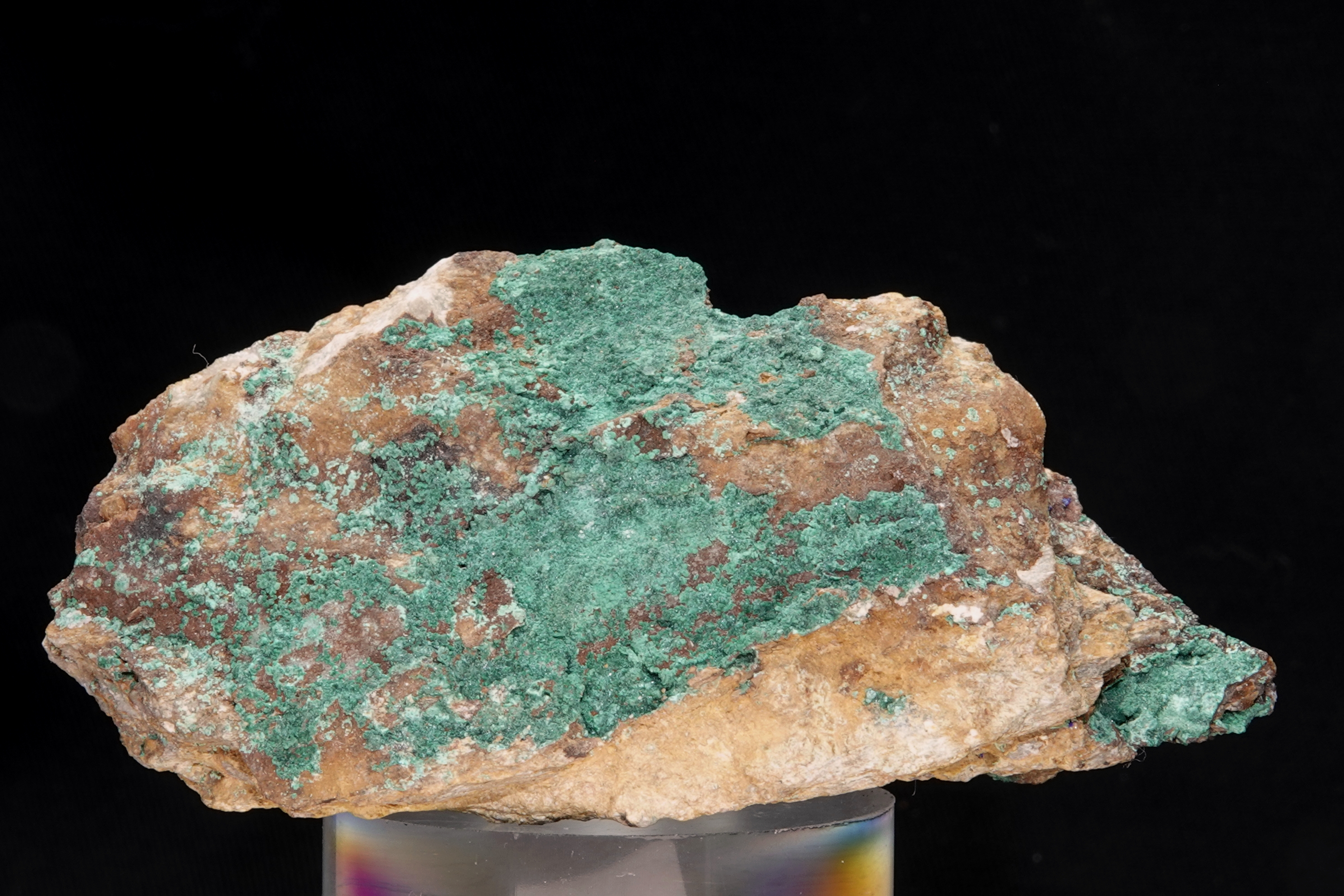 Malachite sur gangue ferrugineuse - Mine de Montevecchio, Sardaigne, Italie - 716.5 ct