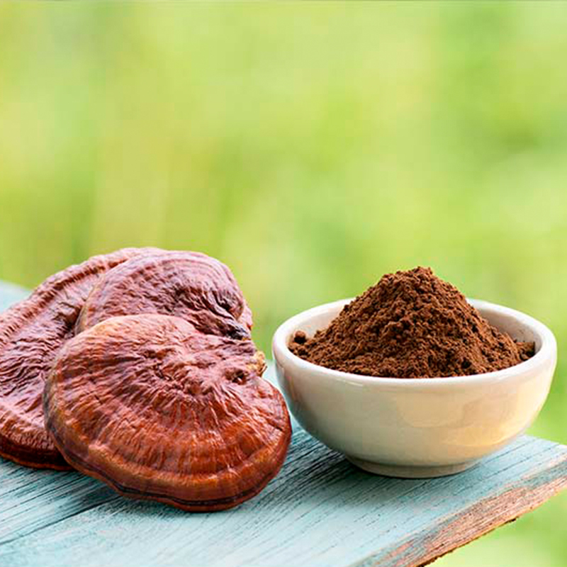 Reishi Mushroom Powder