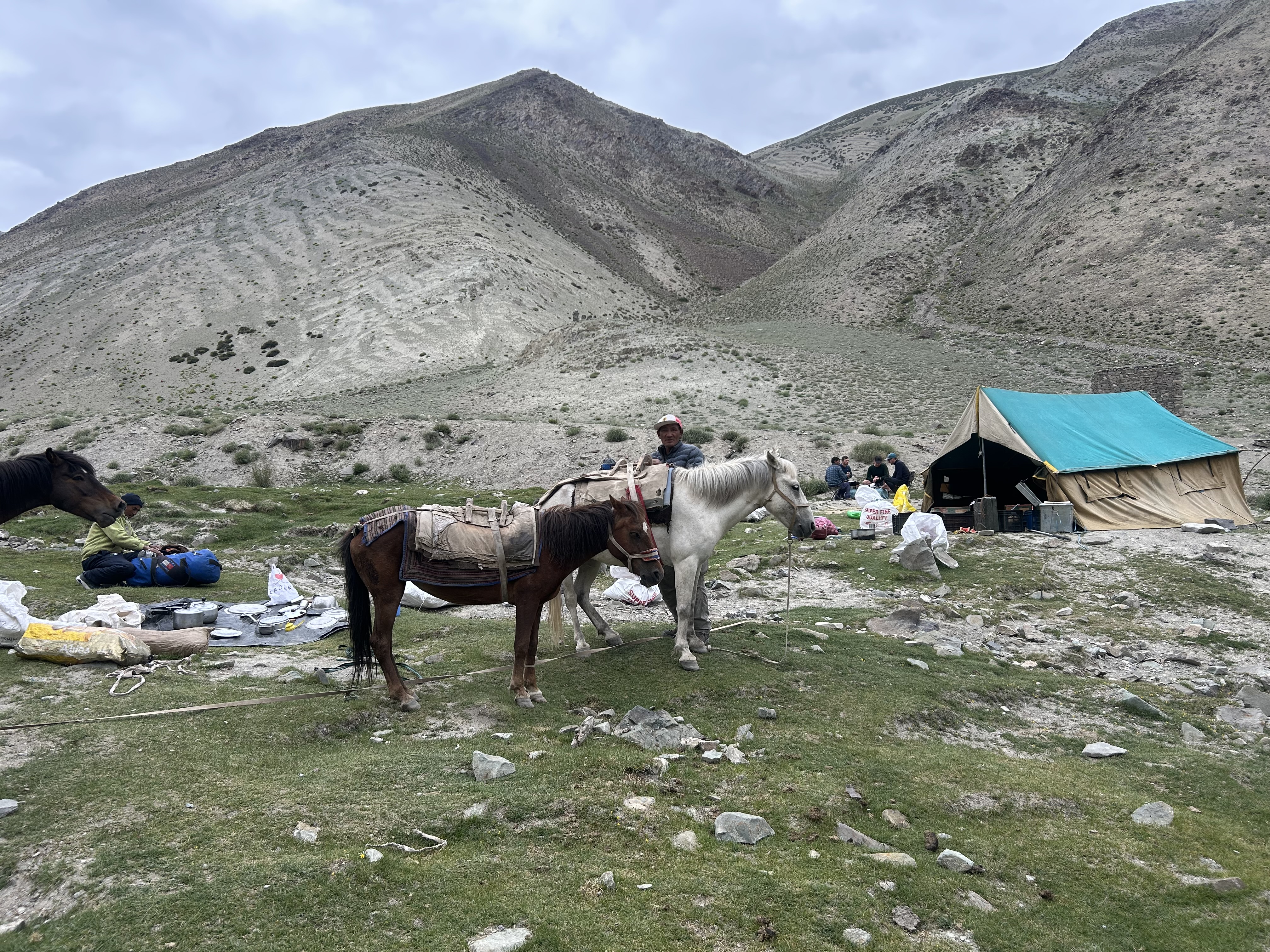 Markha Valley Trek