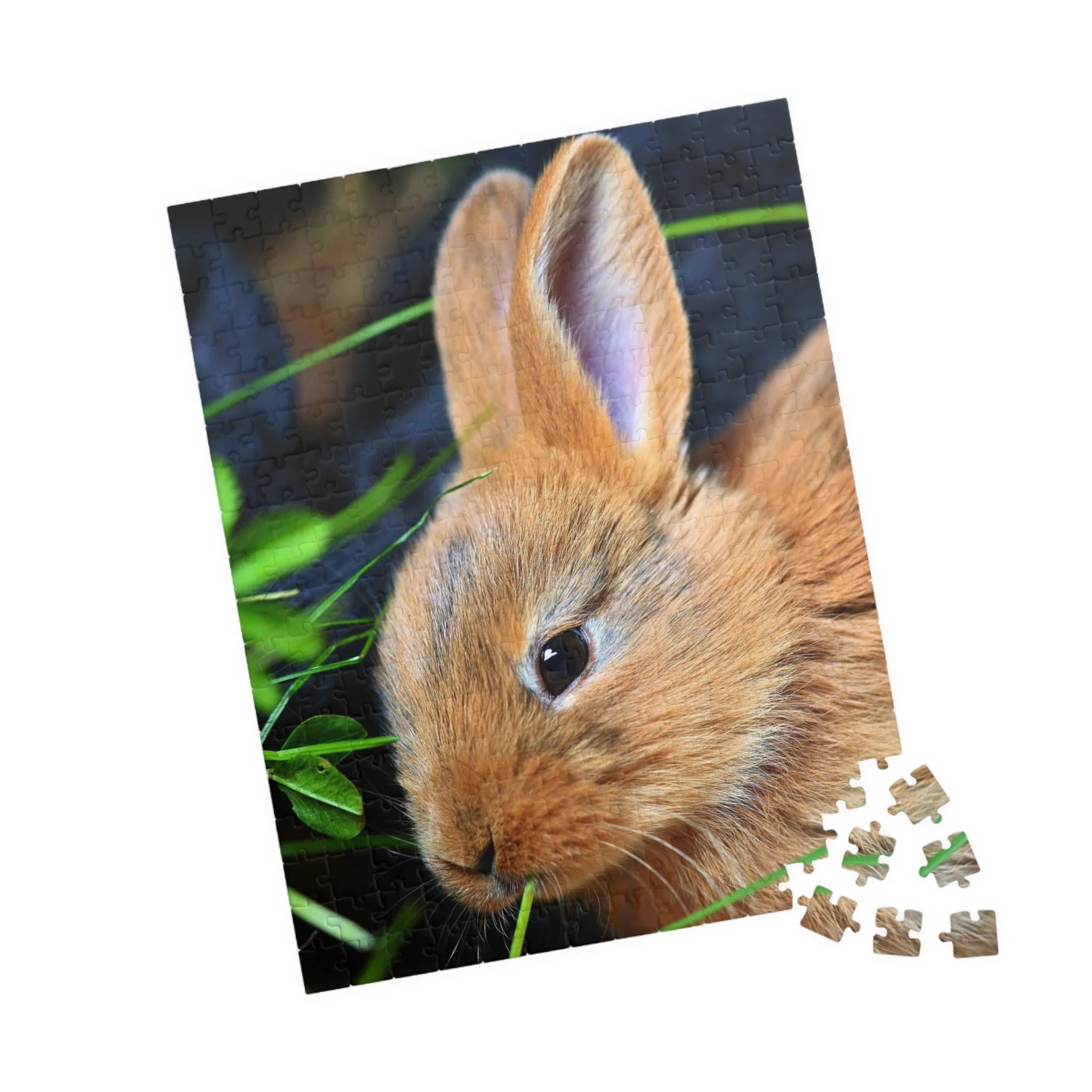 Cute Bunny Rabbit Jigsaw Puzzle