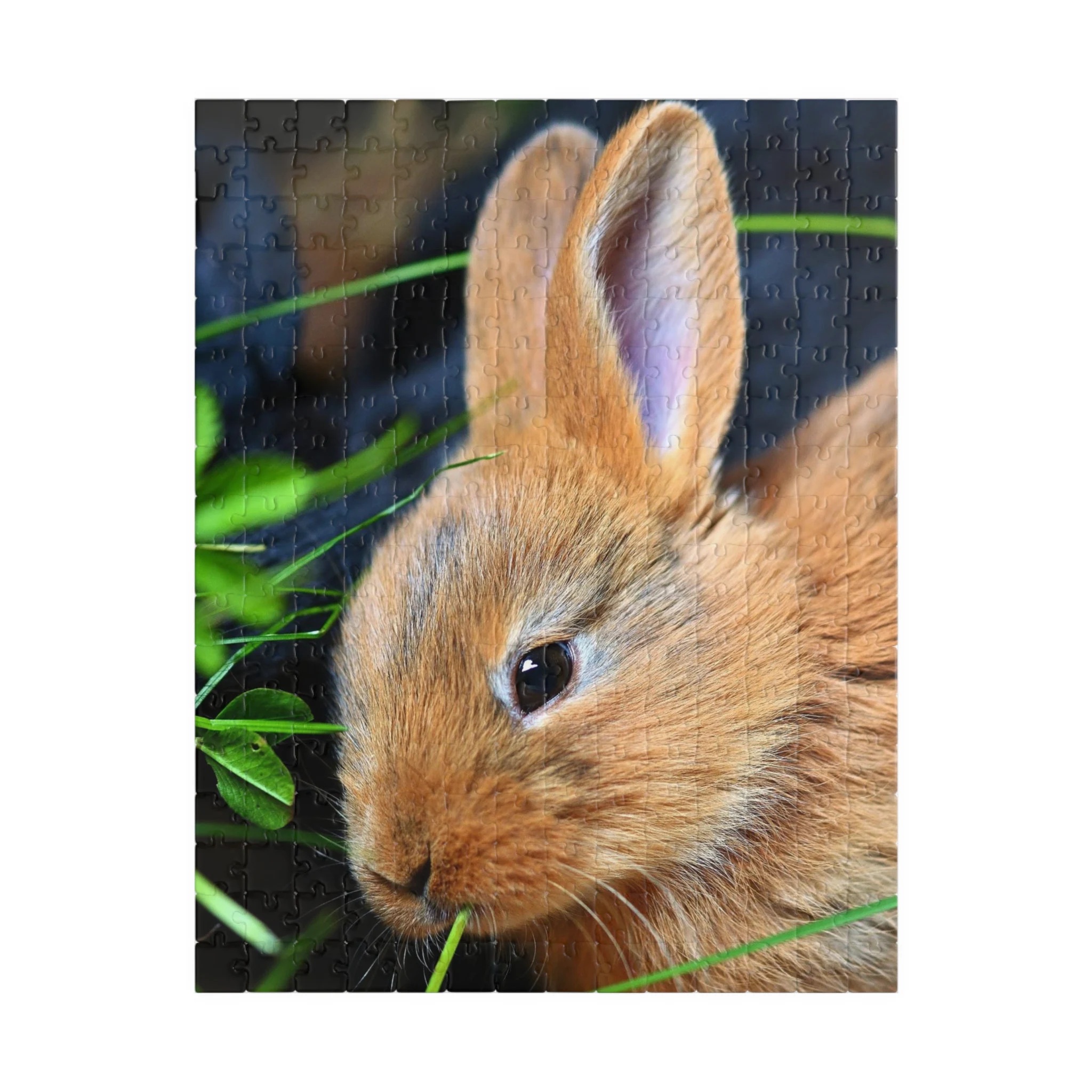 Cute Bunny Rabbit Jigsaw Puzzle
