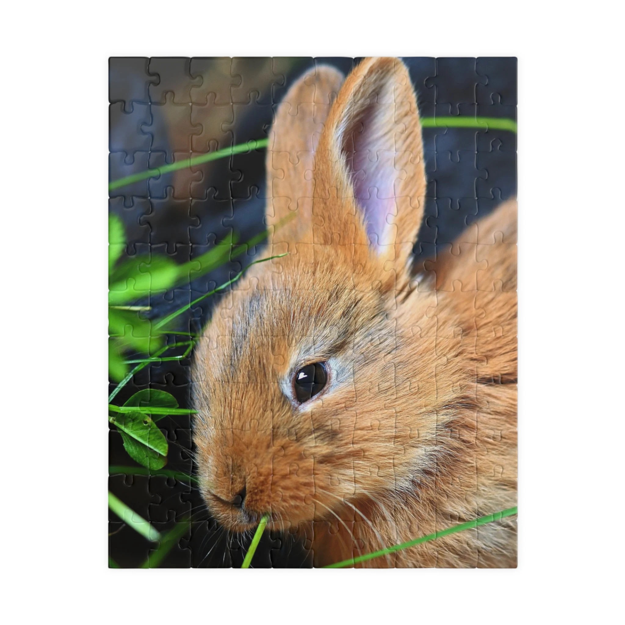 Cute Bunny Rabbit Jigsaw Puzzle