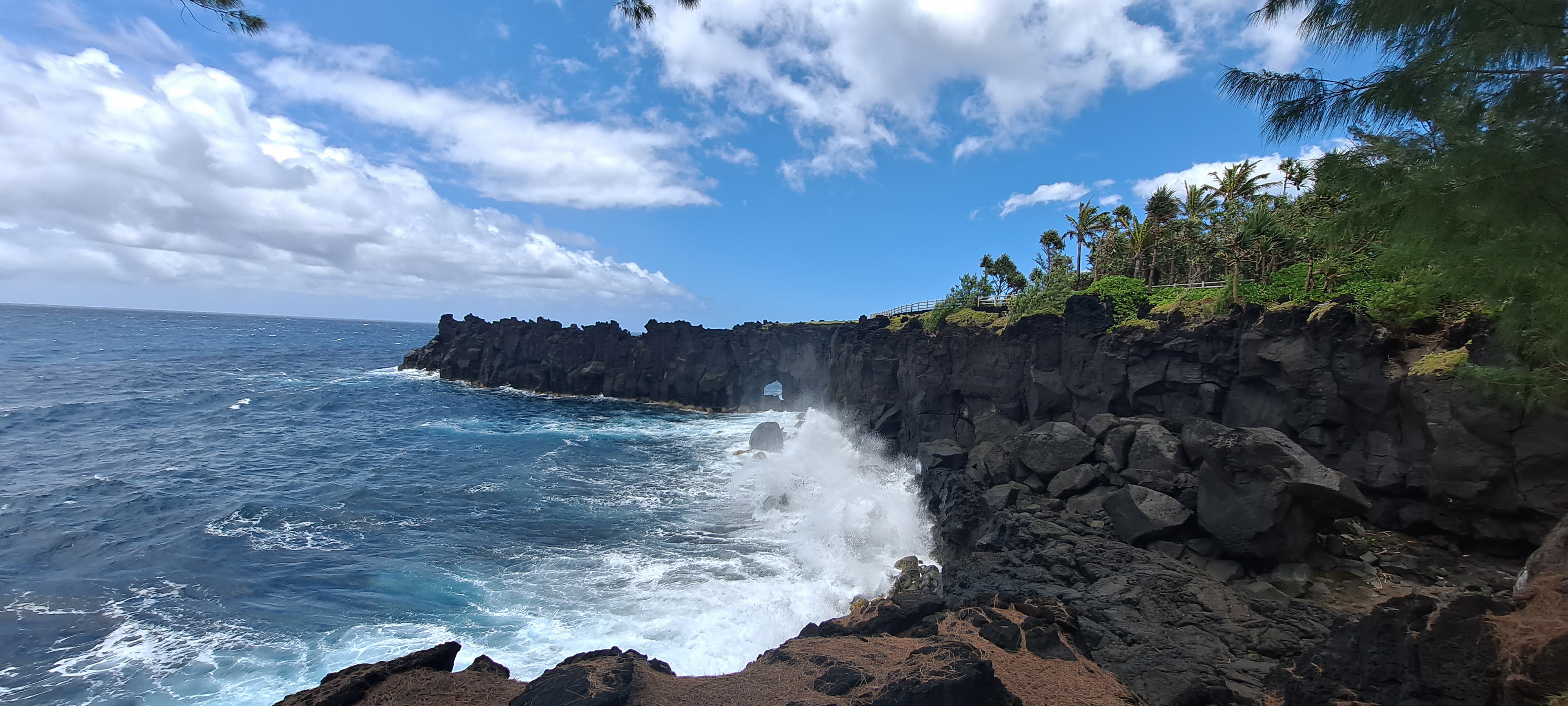 Visit of the Wild South