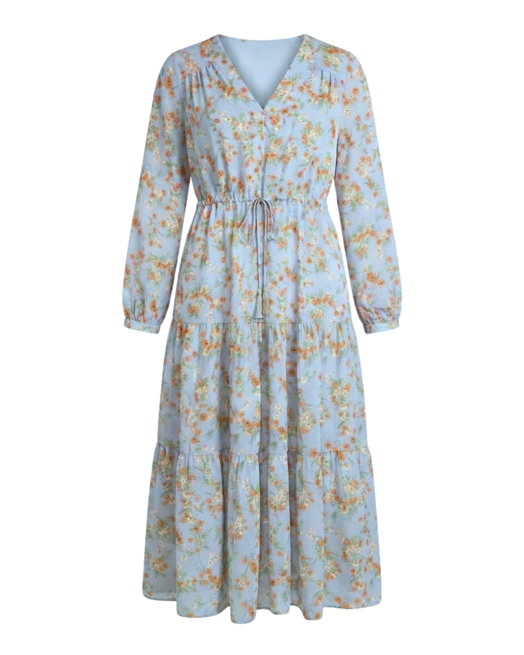 Floral Chiffon Maxi Dress