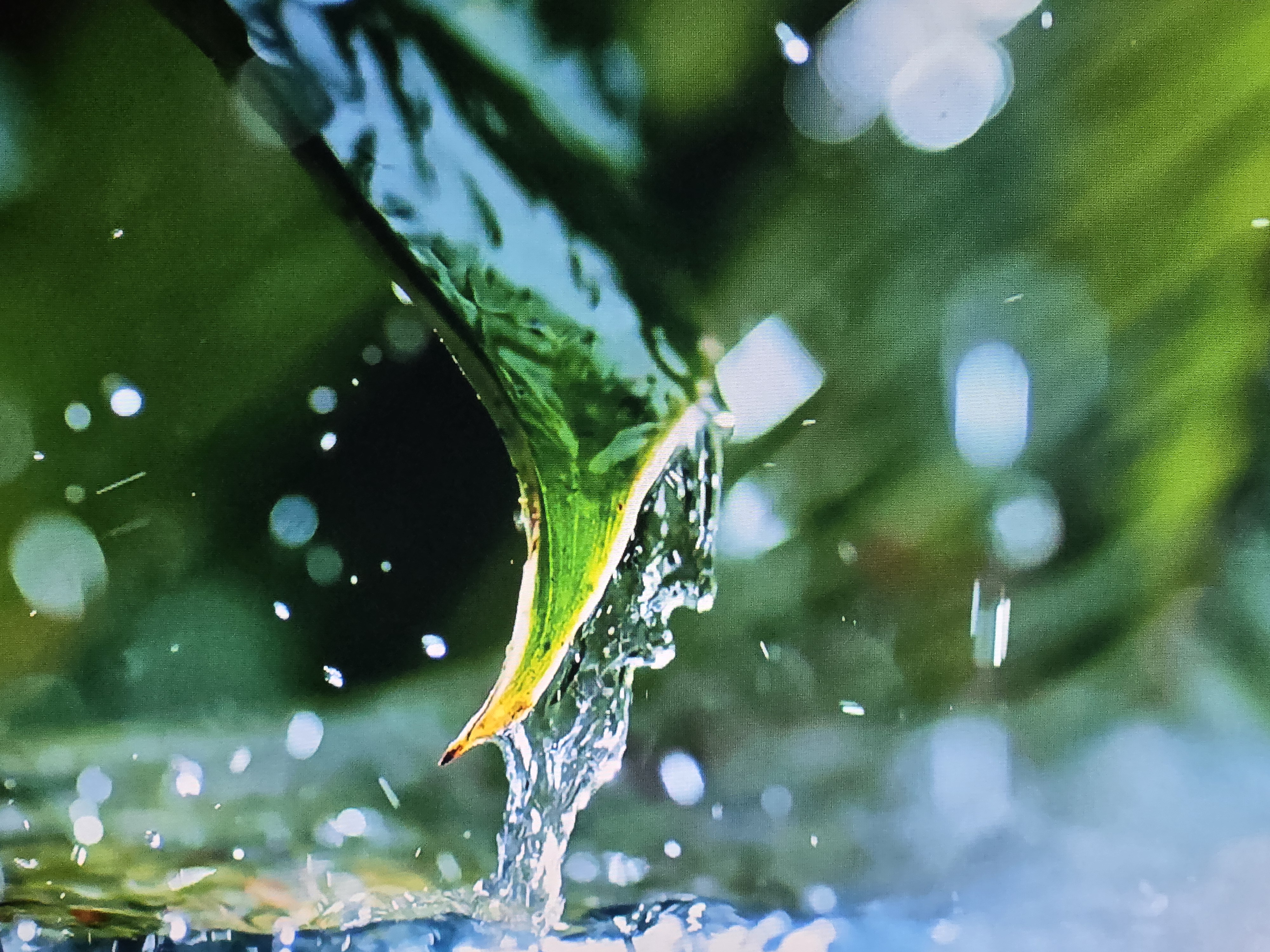 Thérapie Ayurvédique