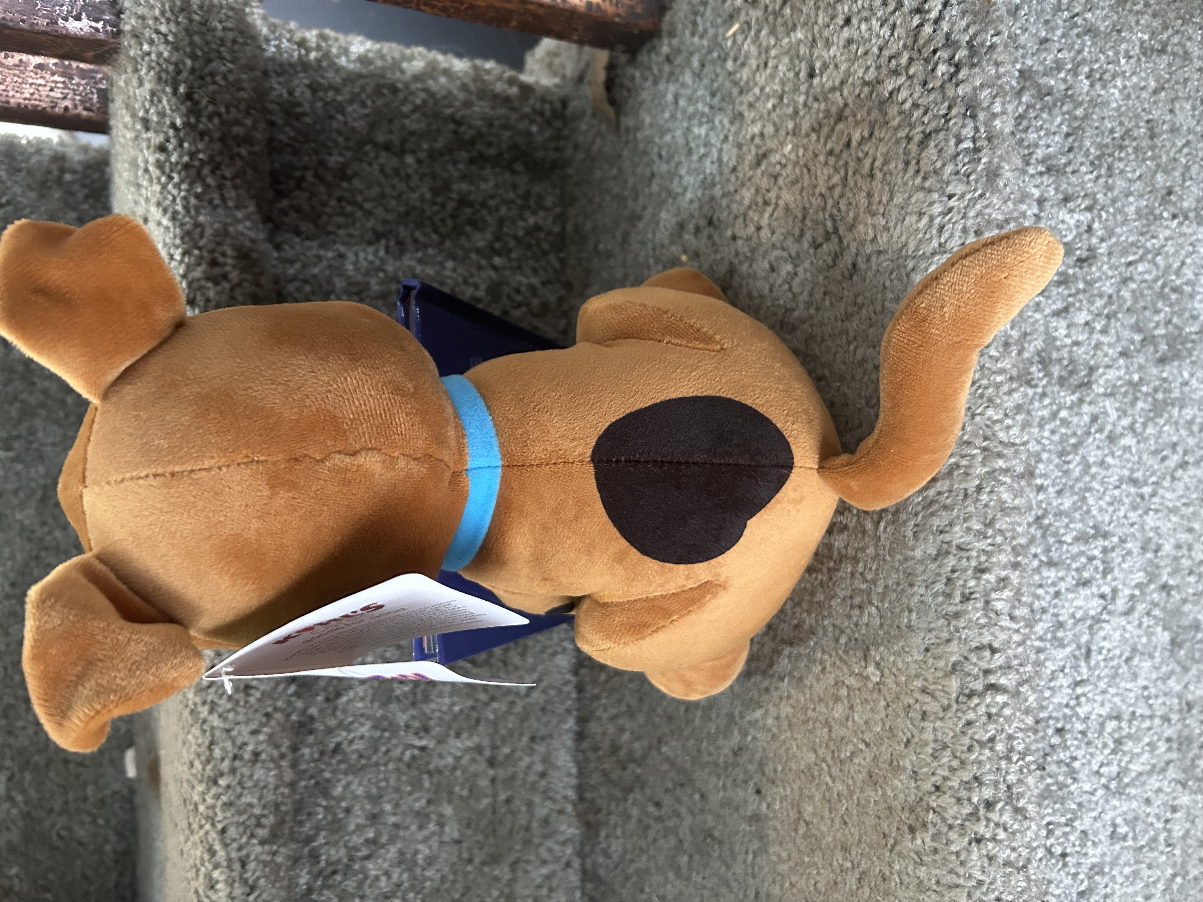 Scooby Doo! Plush and Book