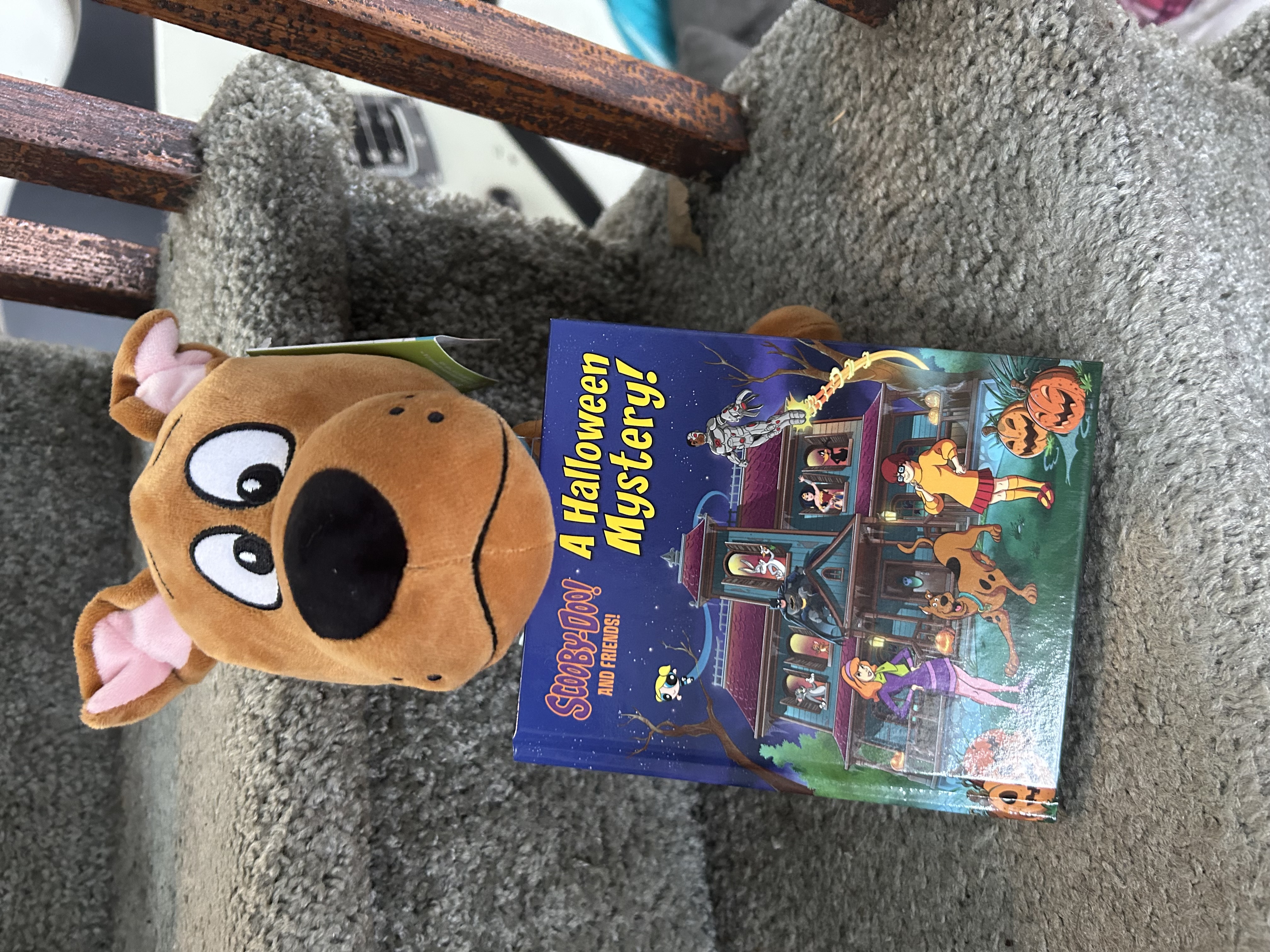 Scooby Doo! Plush and Book