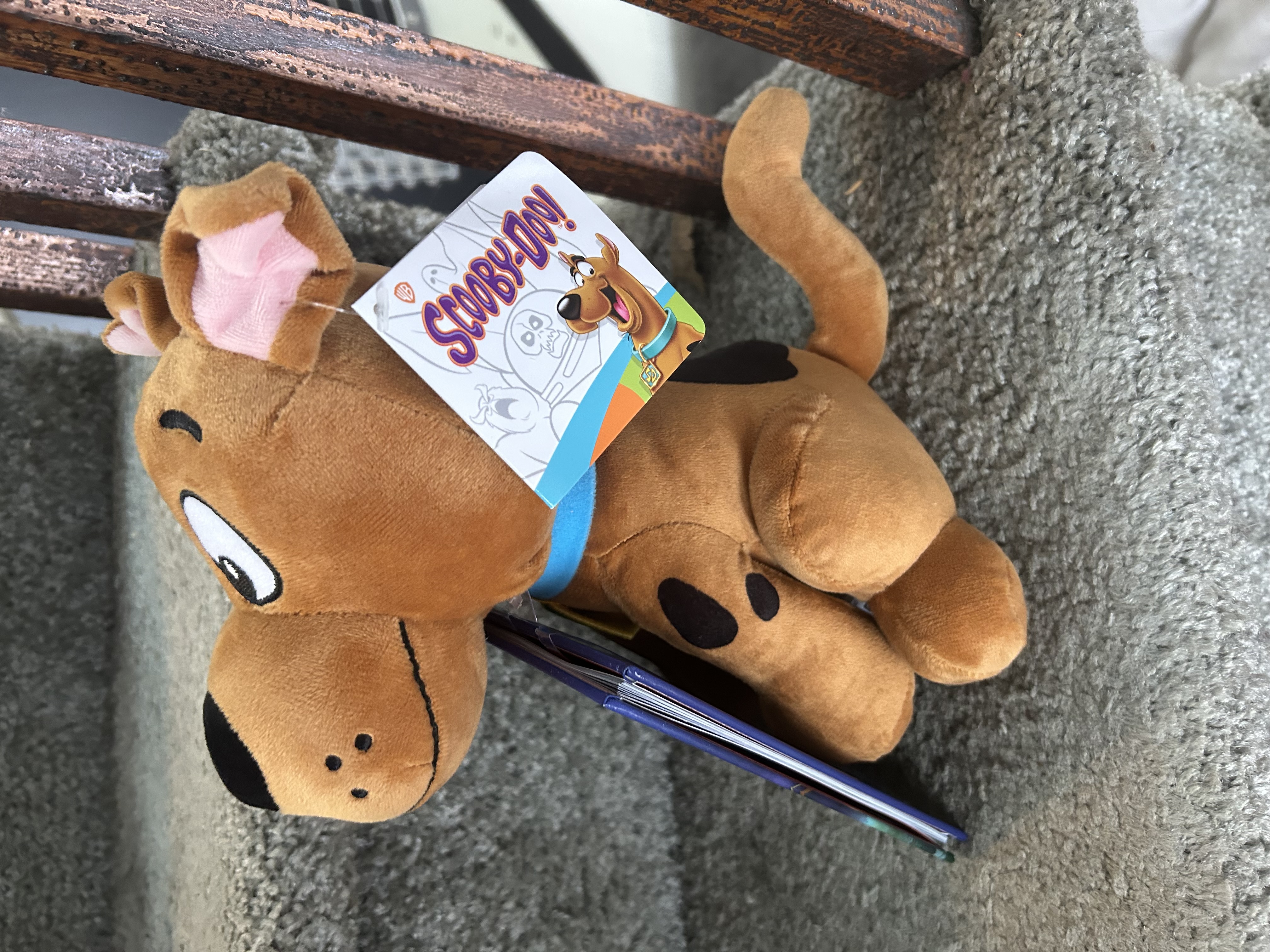 Scooby Doo! Plush and Book
