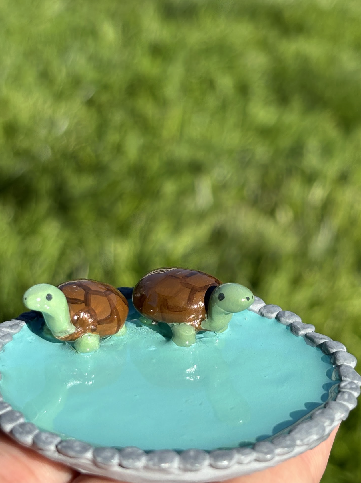 Mini Turtle Dish