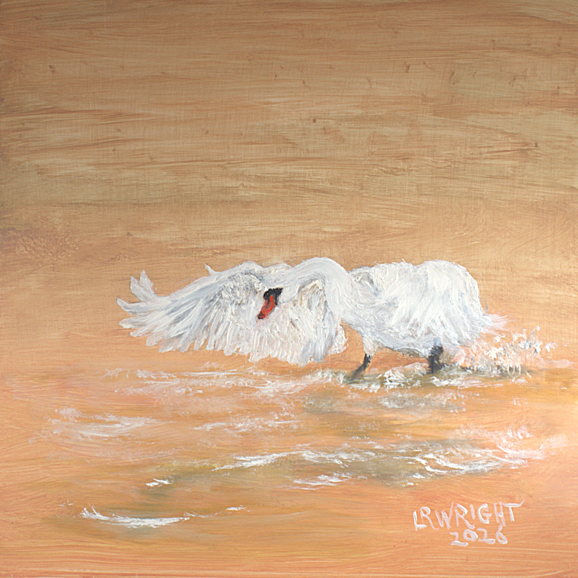 S392026 8"x8" oil on birch cradle board