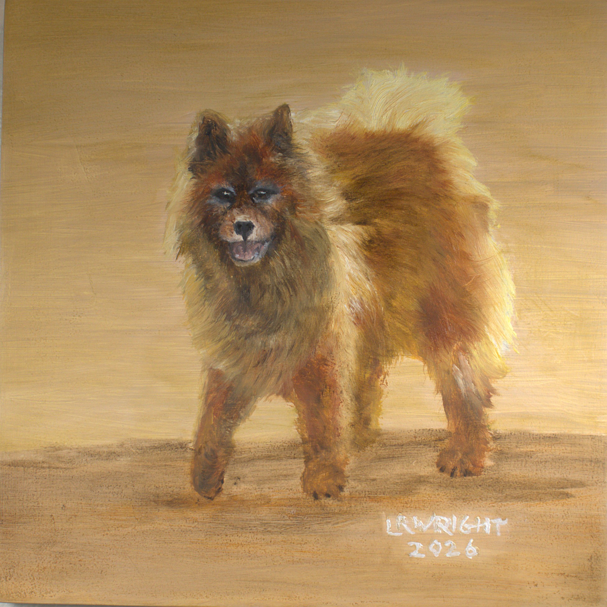 Eurasier 12026 8"x8" oil on birch cradle board