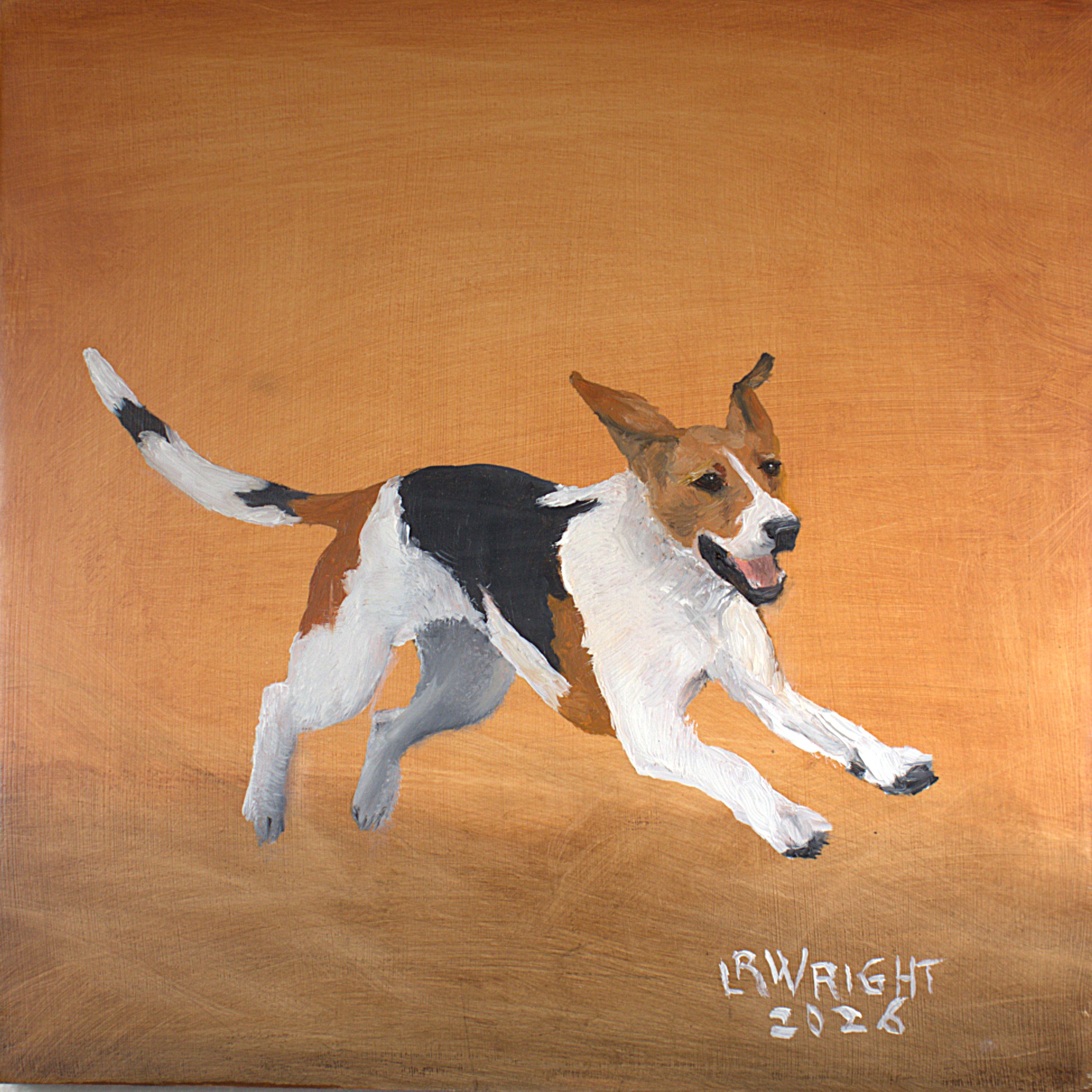 Foxhound 12026 8"x8" oil on birch cradle board