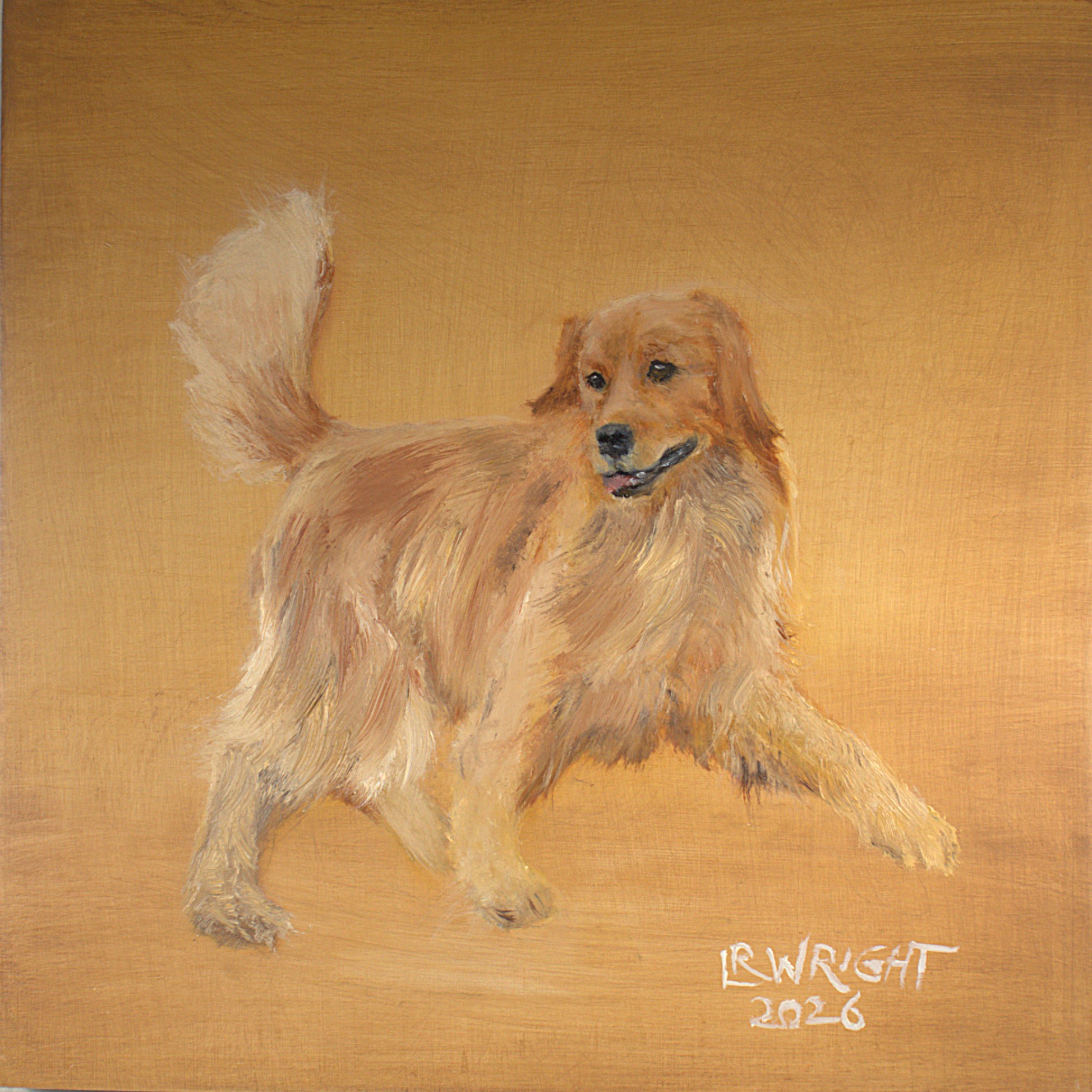 Golden Retriever 12026 8"x8" oil on birch cradle board