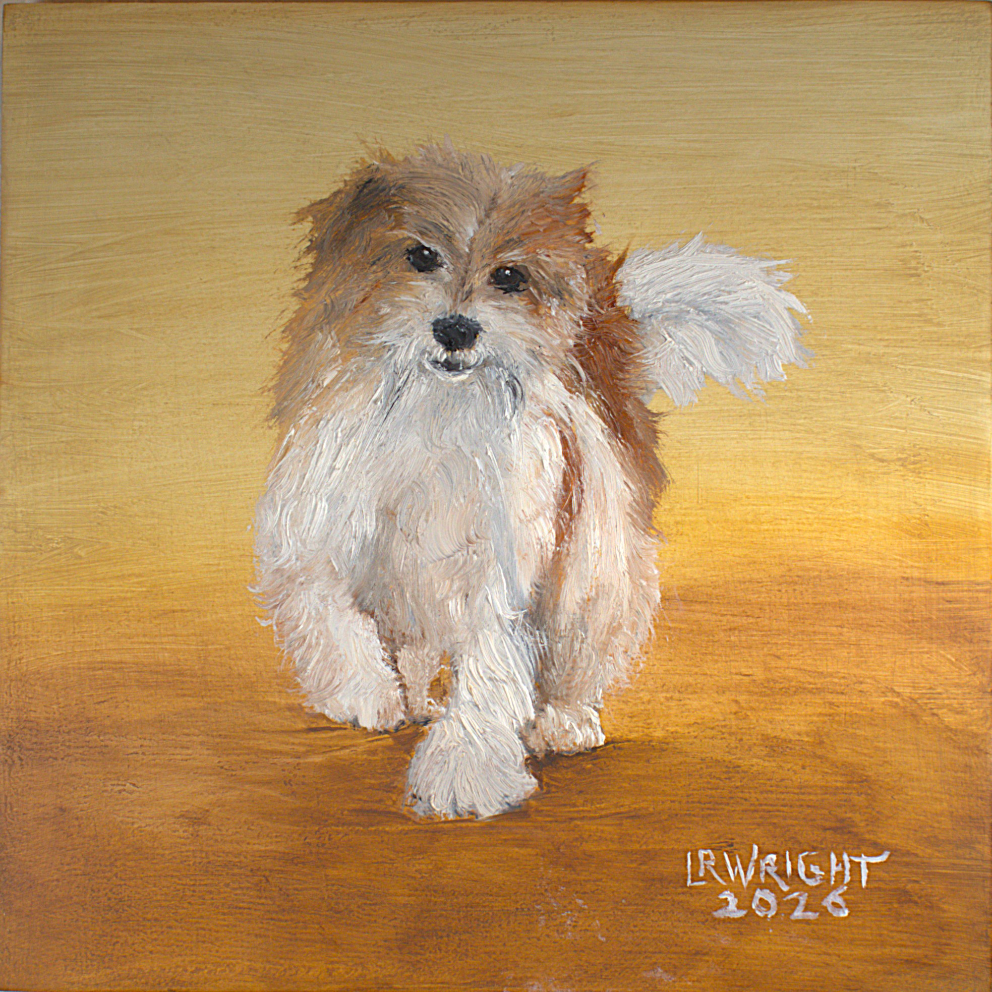Jack Russell Terrier 12026 8"x8" oil on birch cradle board