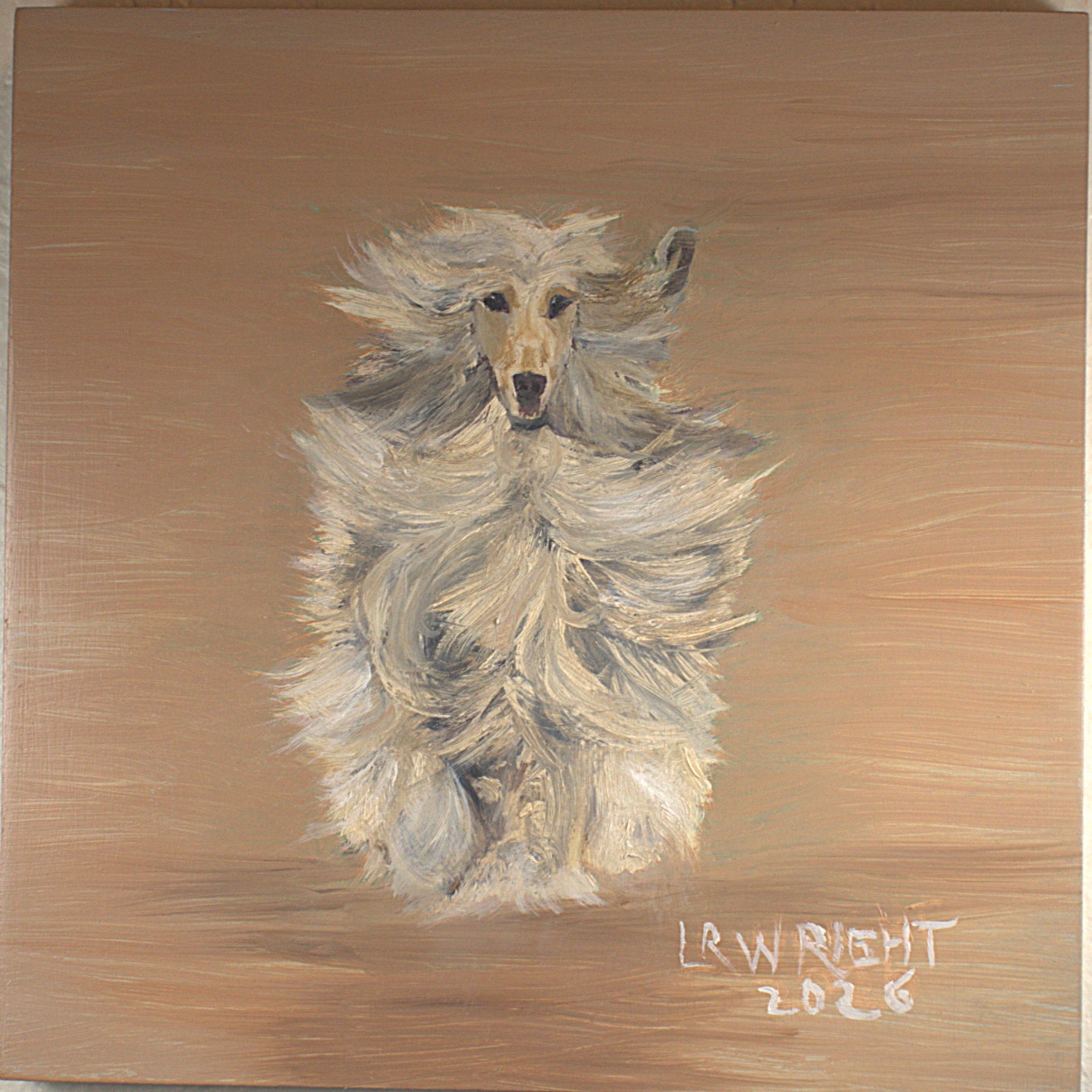 Afghan 202611 8"x8" oil on birch cradle board