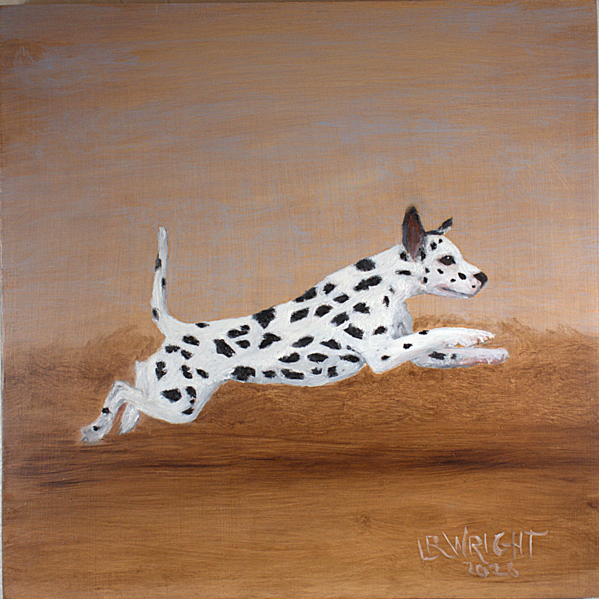 Dalmatian 12026 8"x8" oil on birch cradle board
