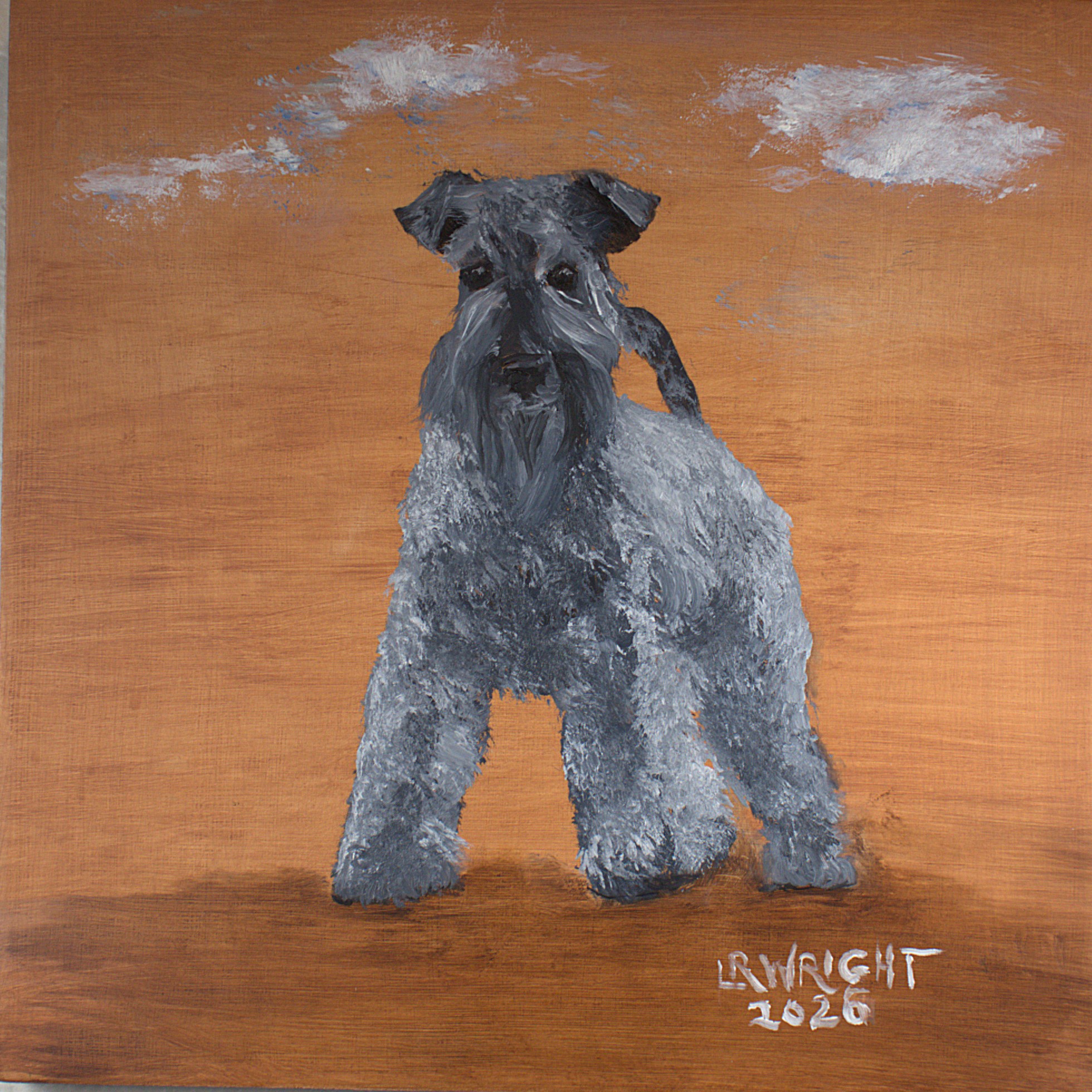 Kerry Blue Terrier 12026 8"x8" oil on birch cradle board
