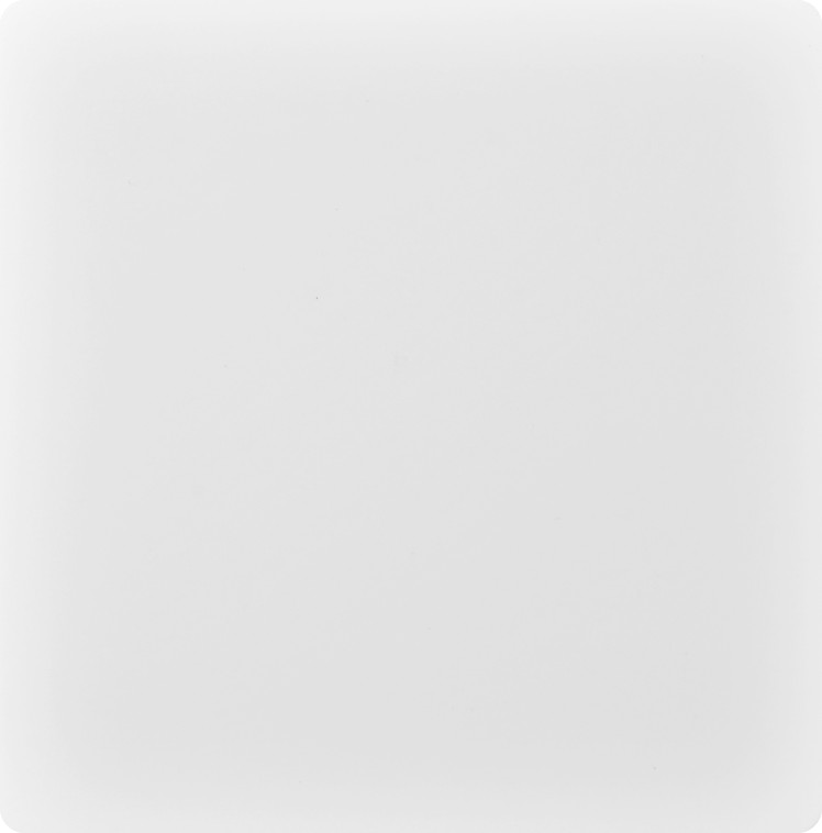 BS one gang one way switch