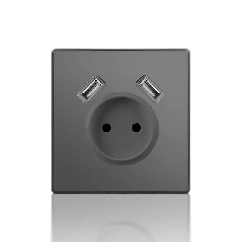 2P European socket mechanism with twin USB charging port