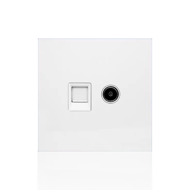 TV + interenet data socket