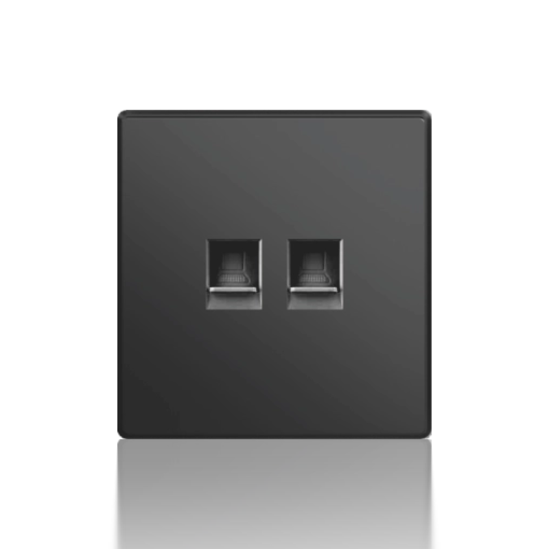 Twin internet data socket RJ45 socket mechanism