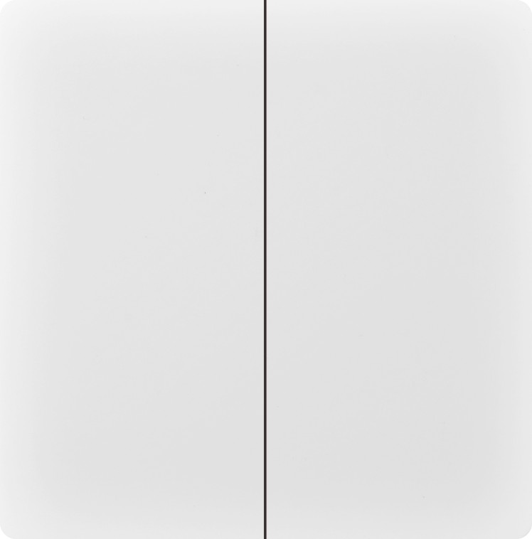 BS two gang one way switch