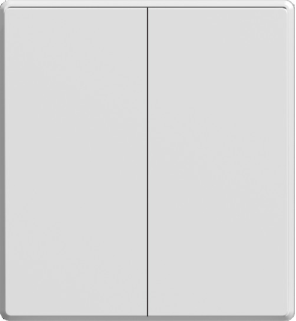 Two gang two way switch mechanism