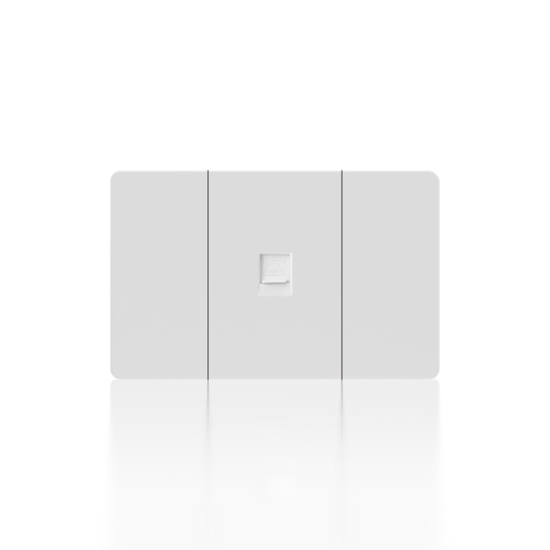 Internet data socket Cat6