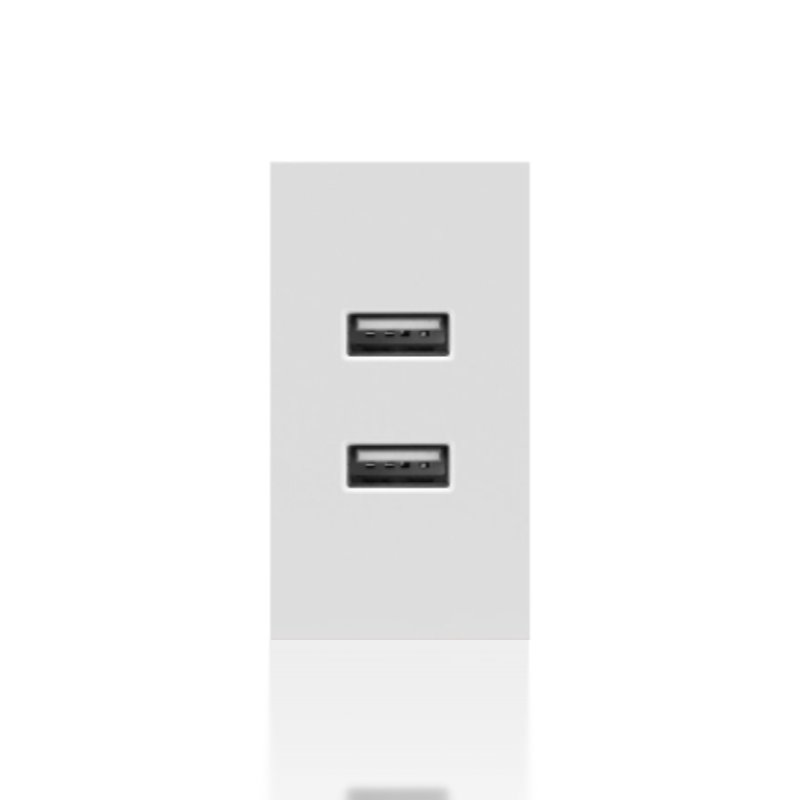 USB type A charging port module