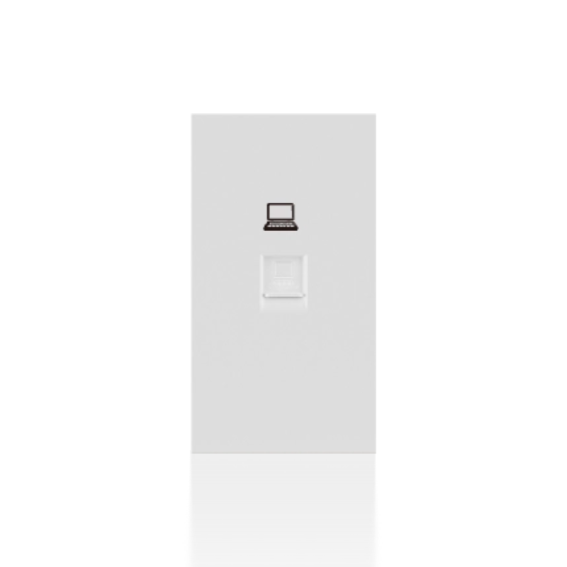 Internet data socket module