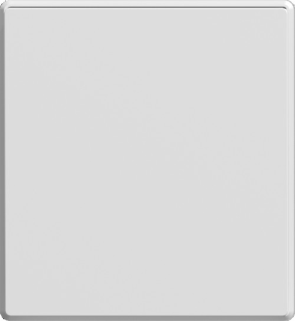 One gang One way switch mechanism