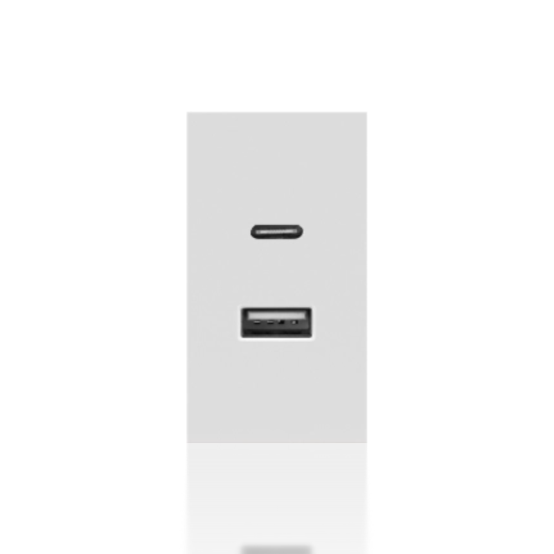 USB type A + type C charging module