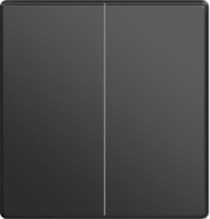 Two gang one way switch mechanism