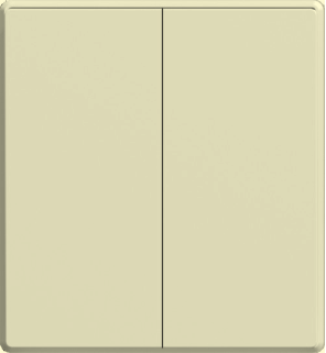 Two gang one way switch mechanism