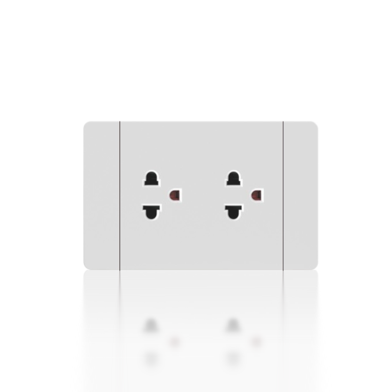 Twin 2P+E European American socket