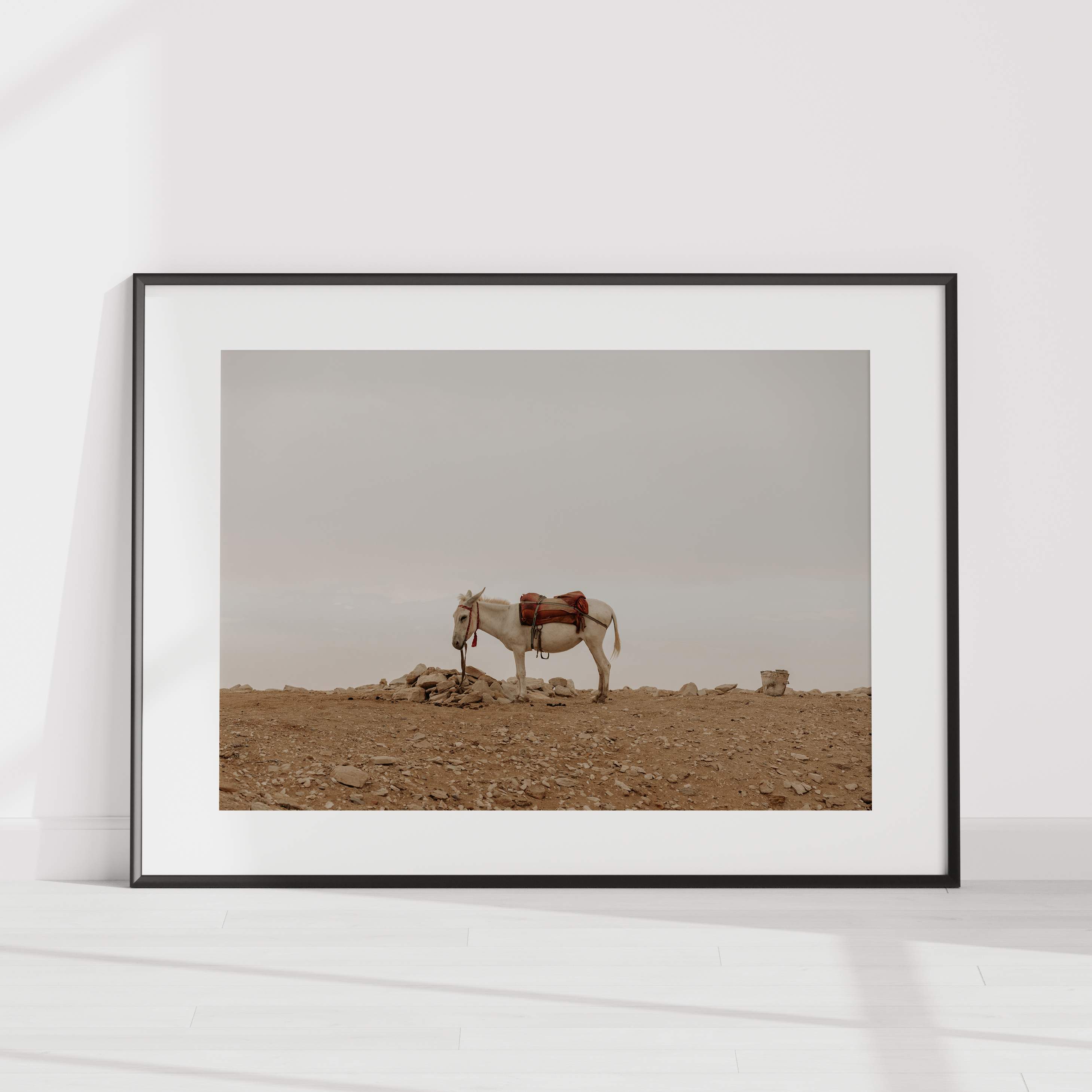 Donkey Digital Wall Art