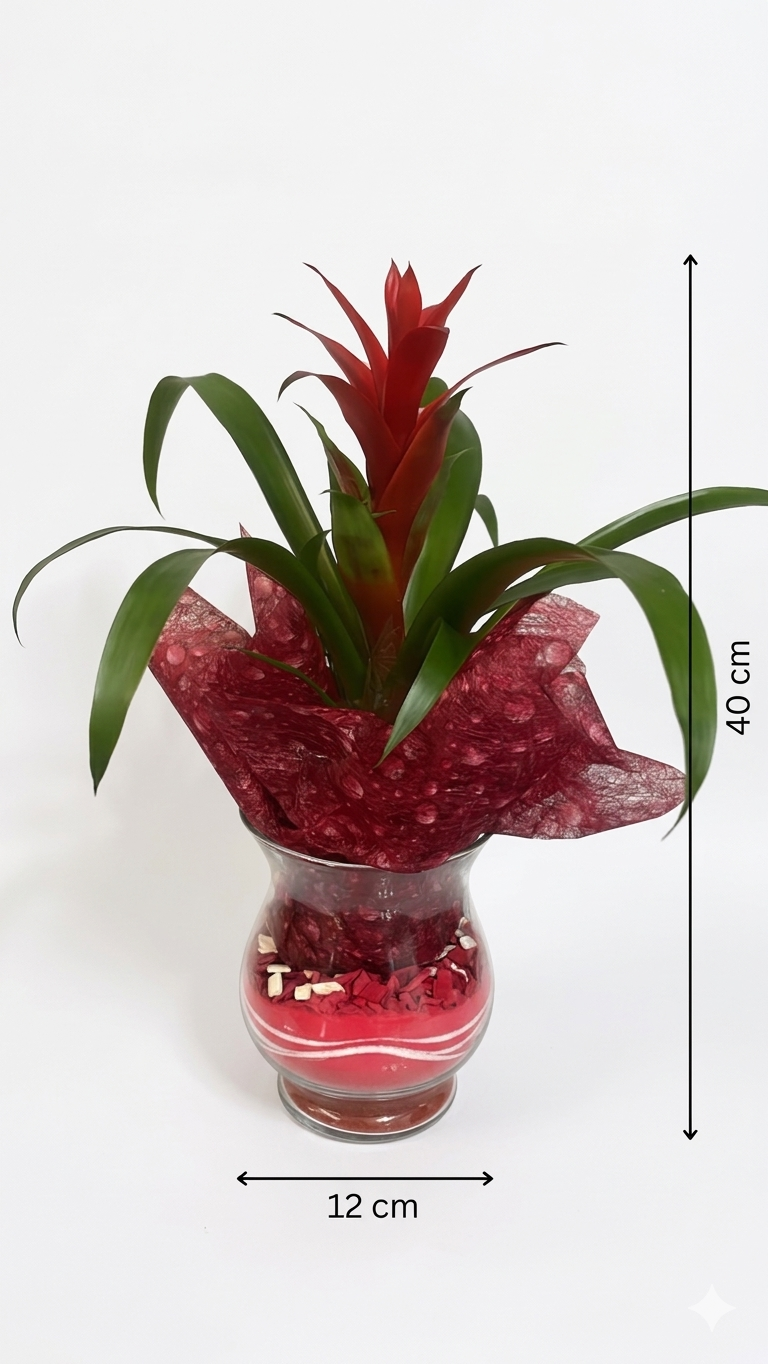 Bromelia in vaso di vetro