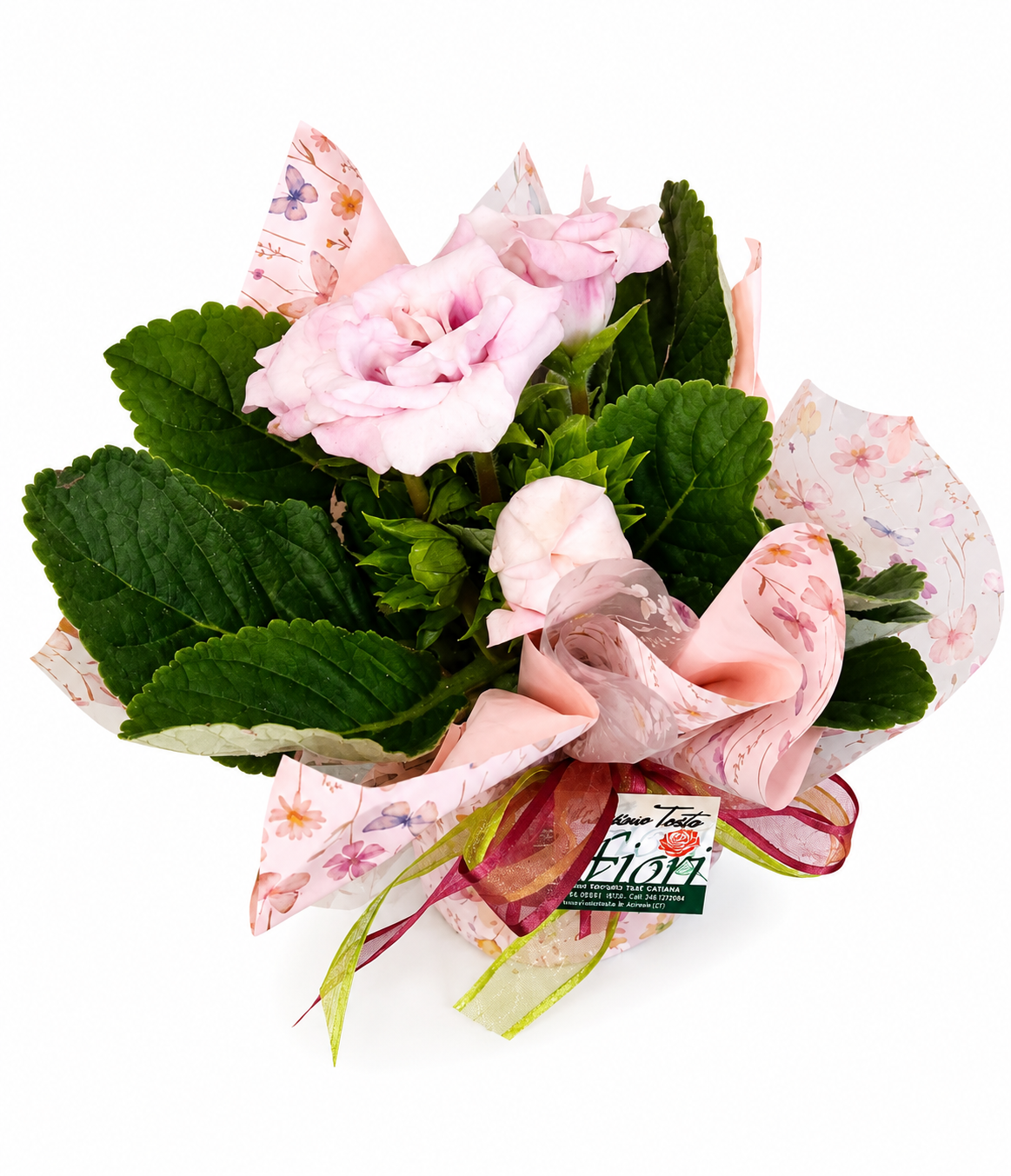 Vaso di rose 